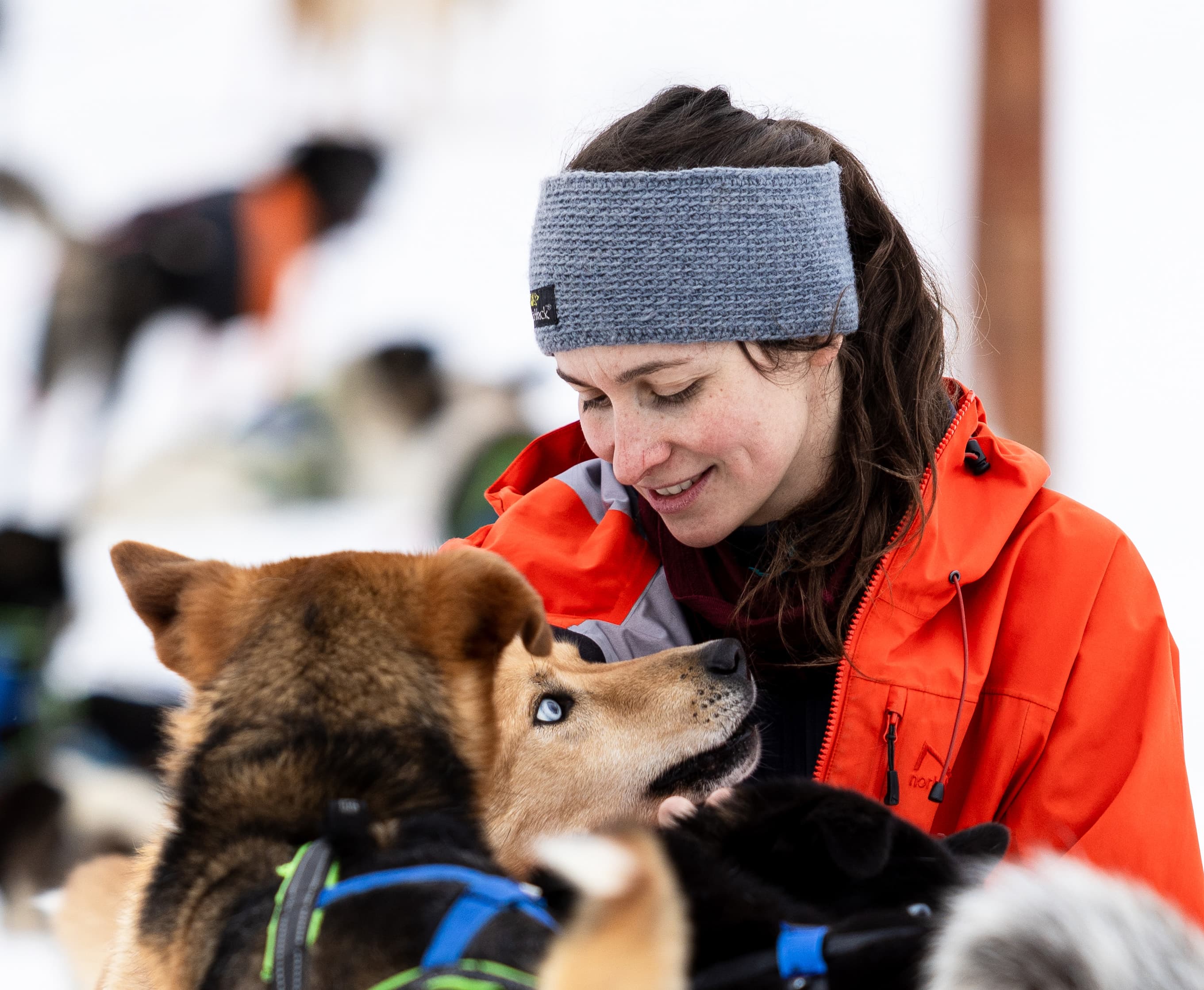 Tromsø: Arctic Combo: Dog Sledding, Snowmobiling & Reindeer Visit at Camp Tamok