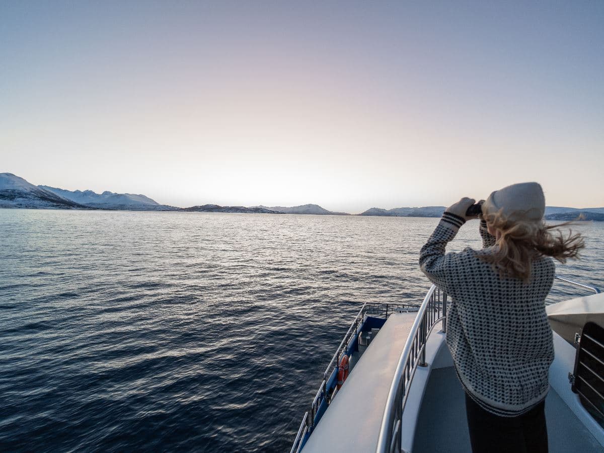 24hrs Northern Lights & Whale Watching Cruise: Double Cabin photo 2