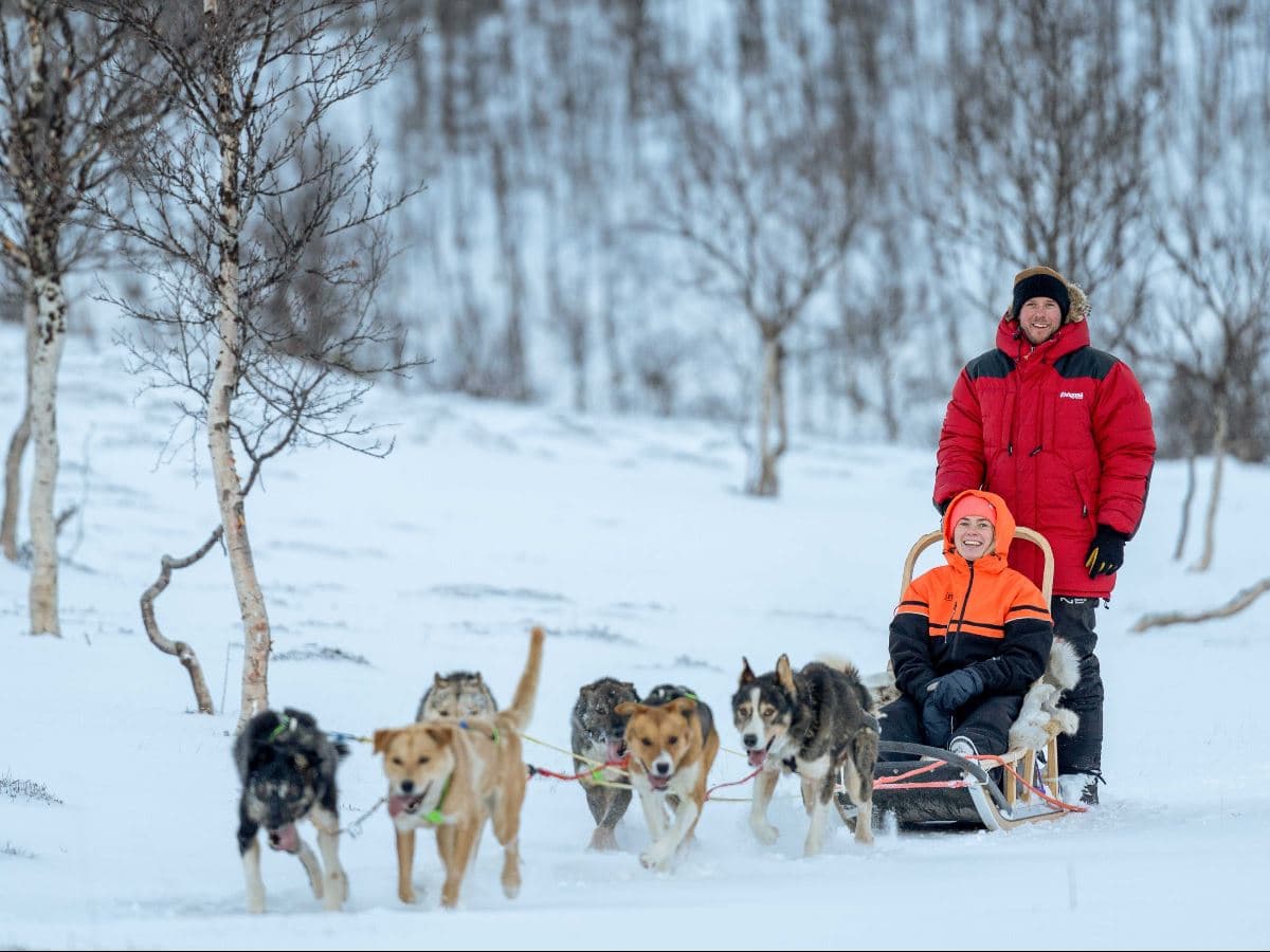 Advanced Dog Sledding at Camp Tamok photo 3