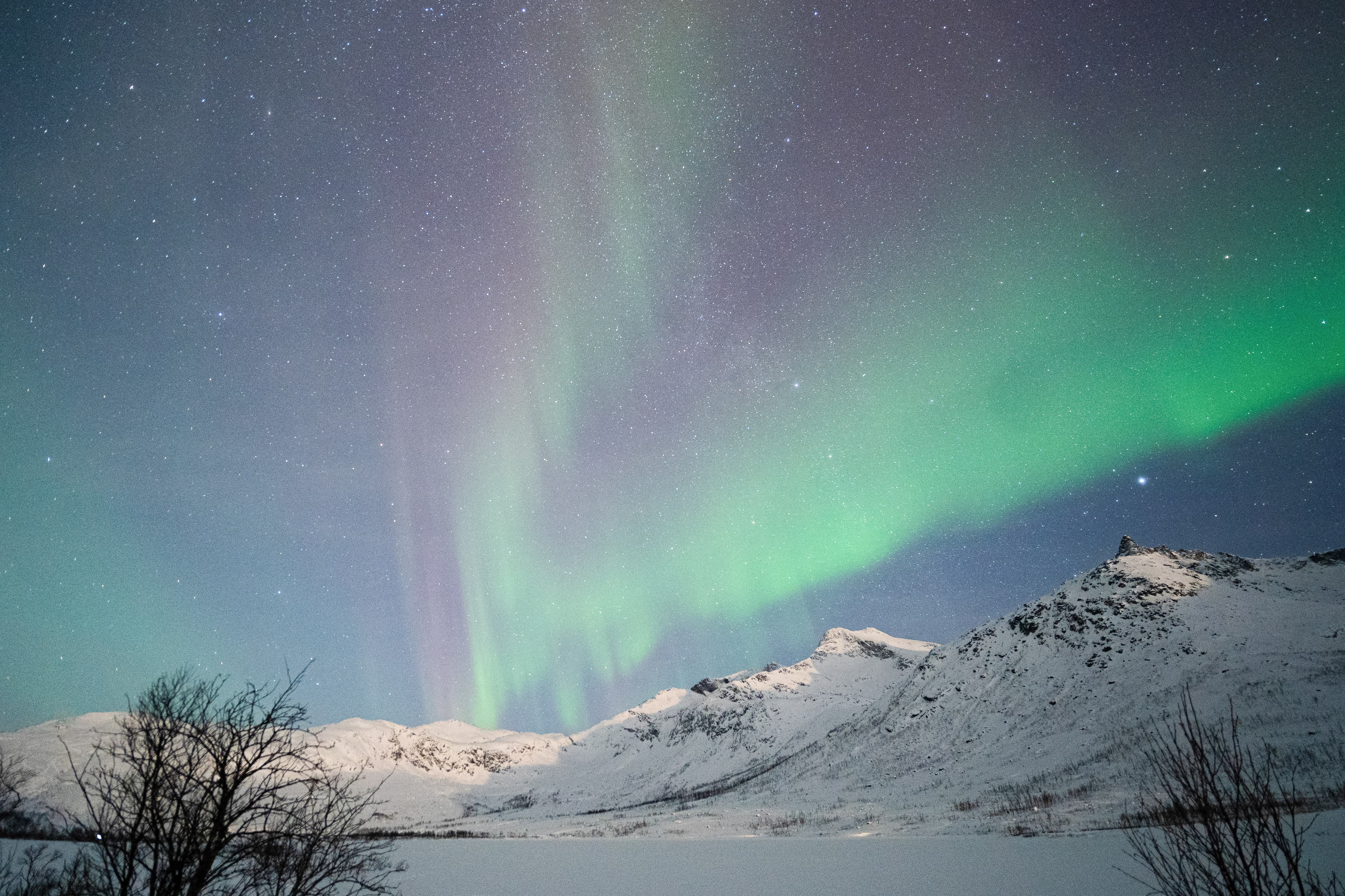 Tromsø: PRIVATE Northern Lights Chase with proffesional photos photo 5