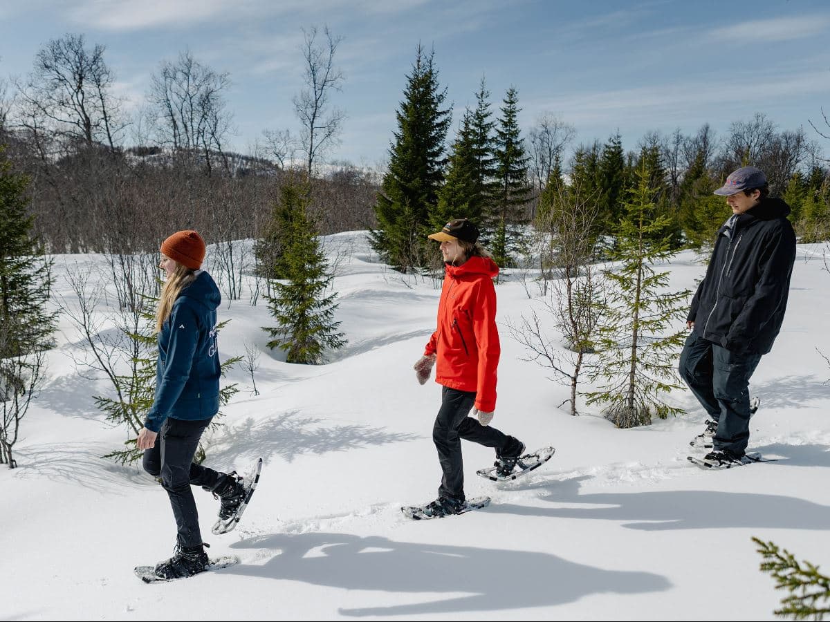 Daytime Snowshoe Hiking Experience at Sommarøy