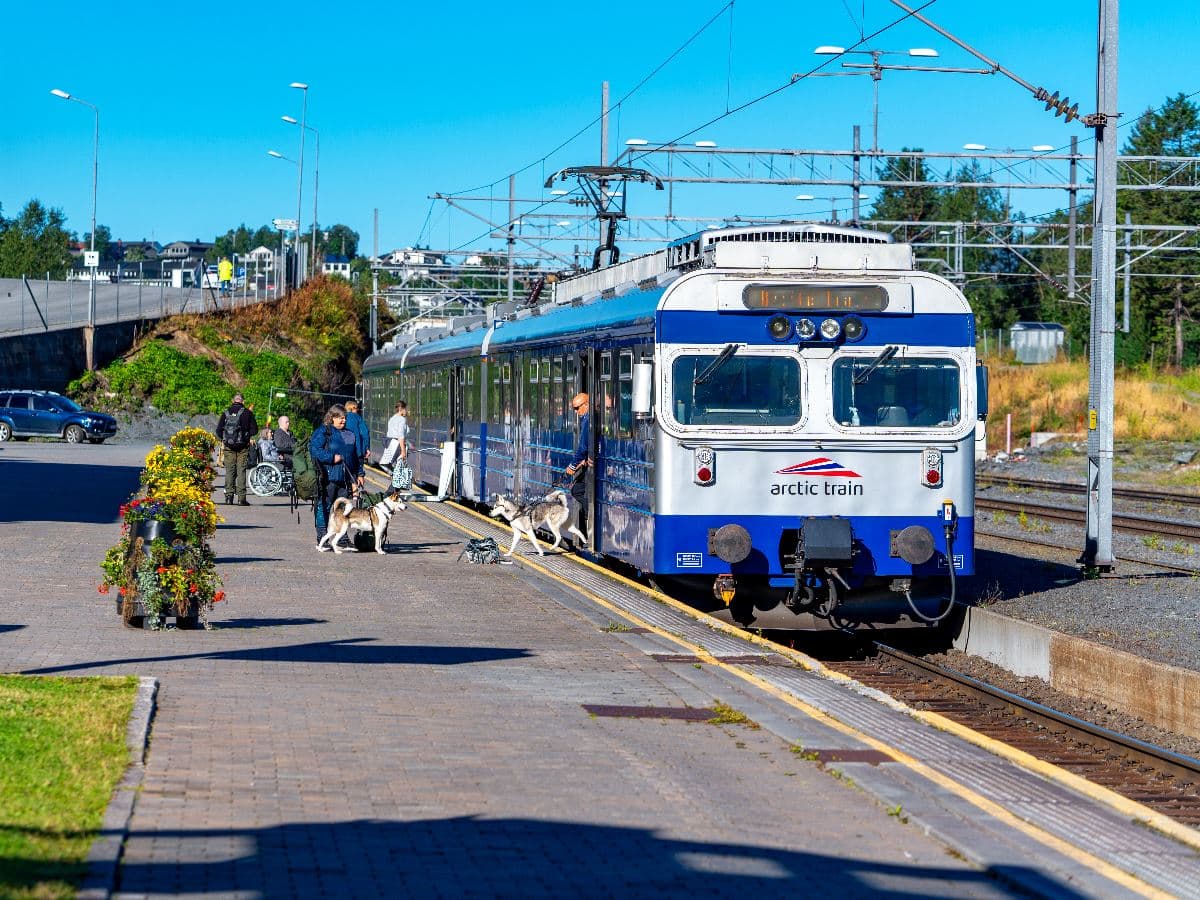 Arctic Train - Ofoten Line photo 6