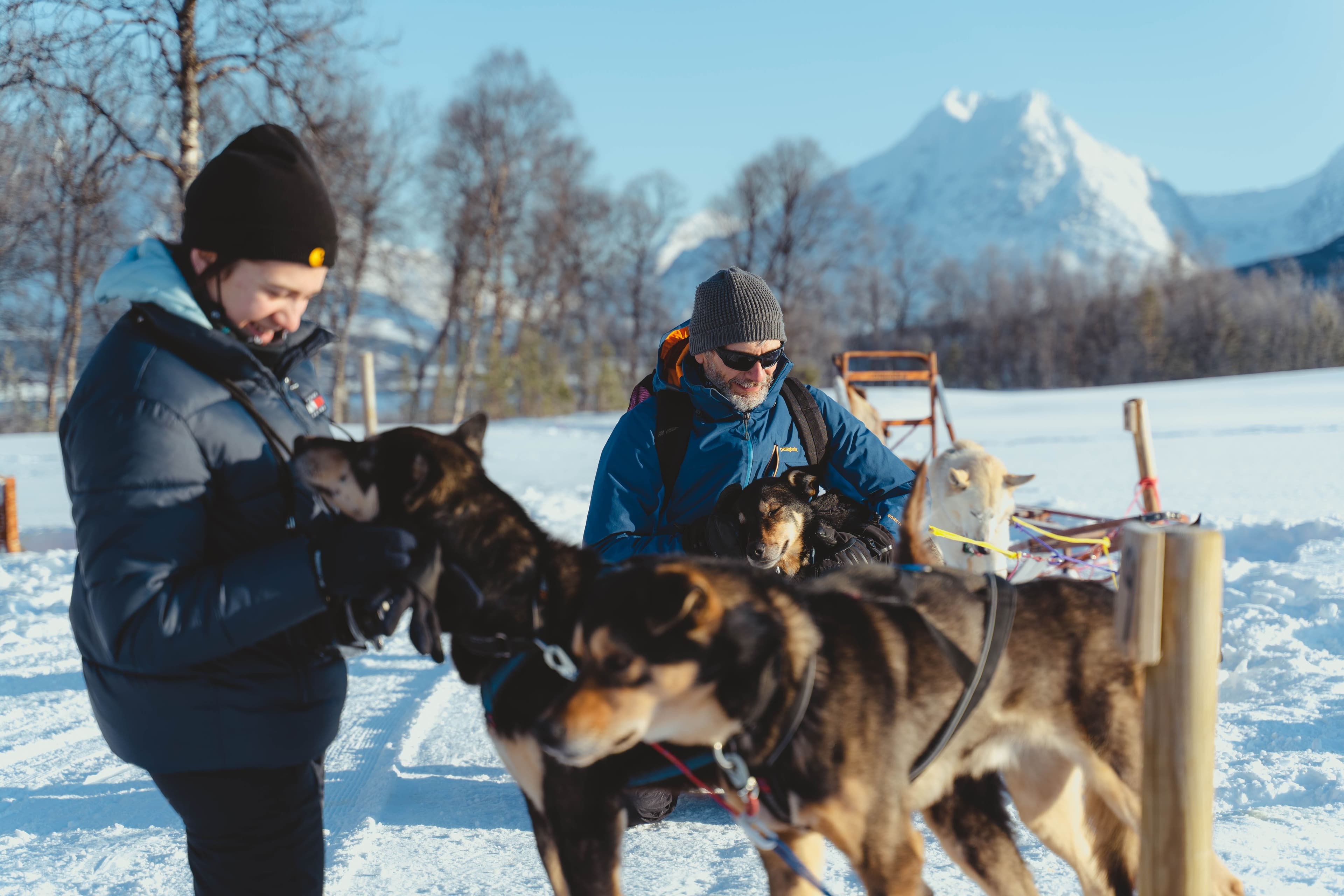 Husky Experience & Dog Sled Driving