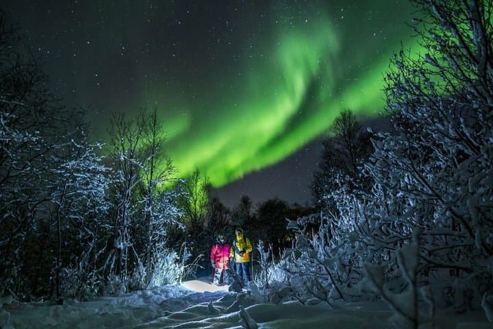 Tromsø: Small Group | Northern Lights Chase + All-Inclusive photo 2