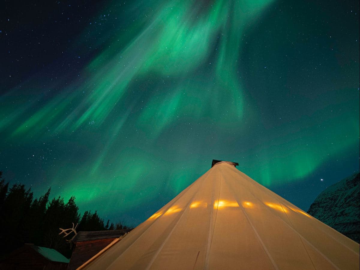 Wilderness Aurora Experience at Camp Tamok  photo 4