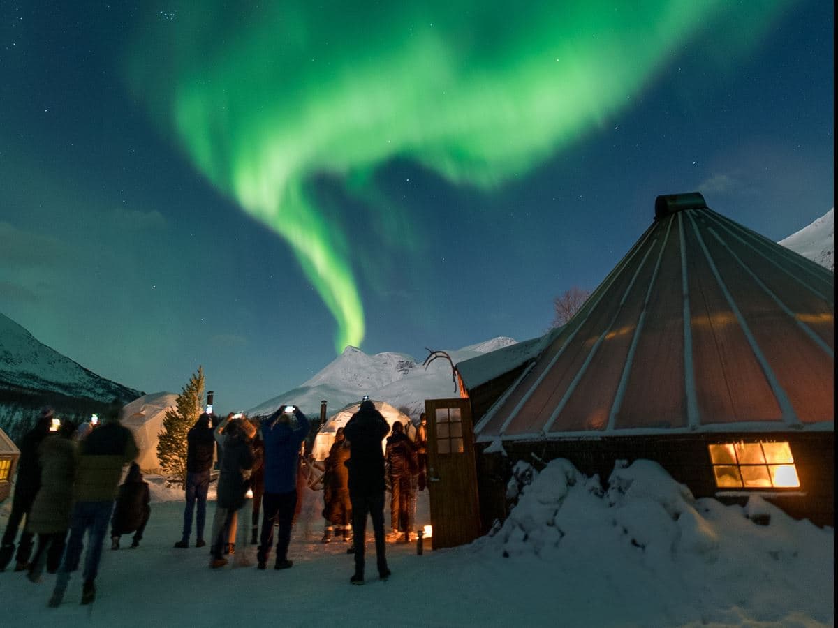 Arctic All-in-One Night: Dog Sledding, Snowmobiling & Northern Lights at Camp Tamok