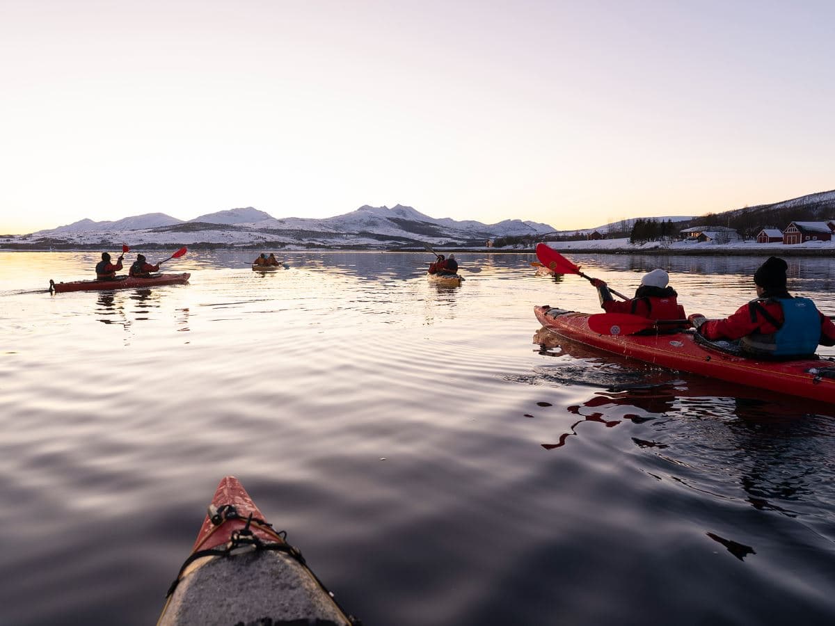 Guided Winter Sea Kayaking Tour - Incl. Transfer from Sommarøy Arctic Hotel