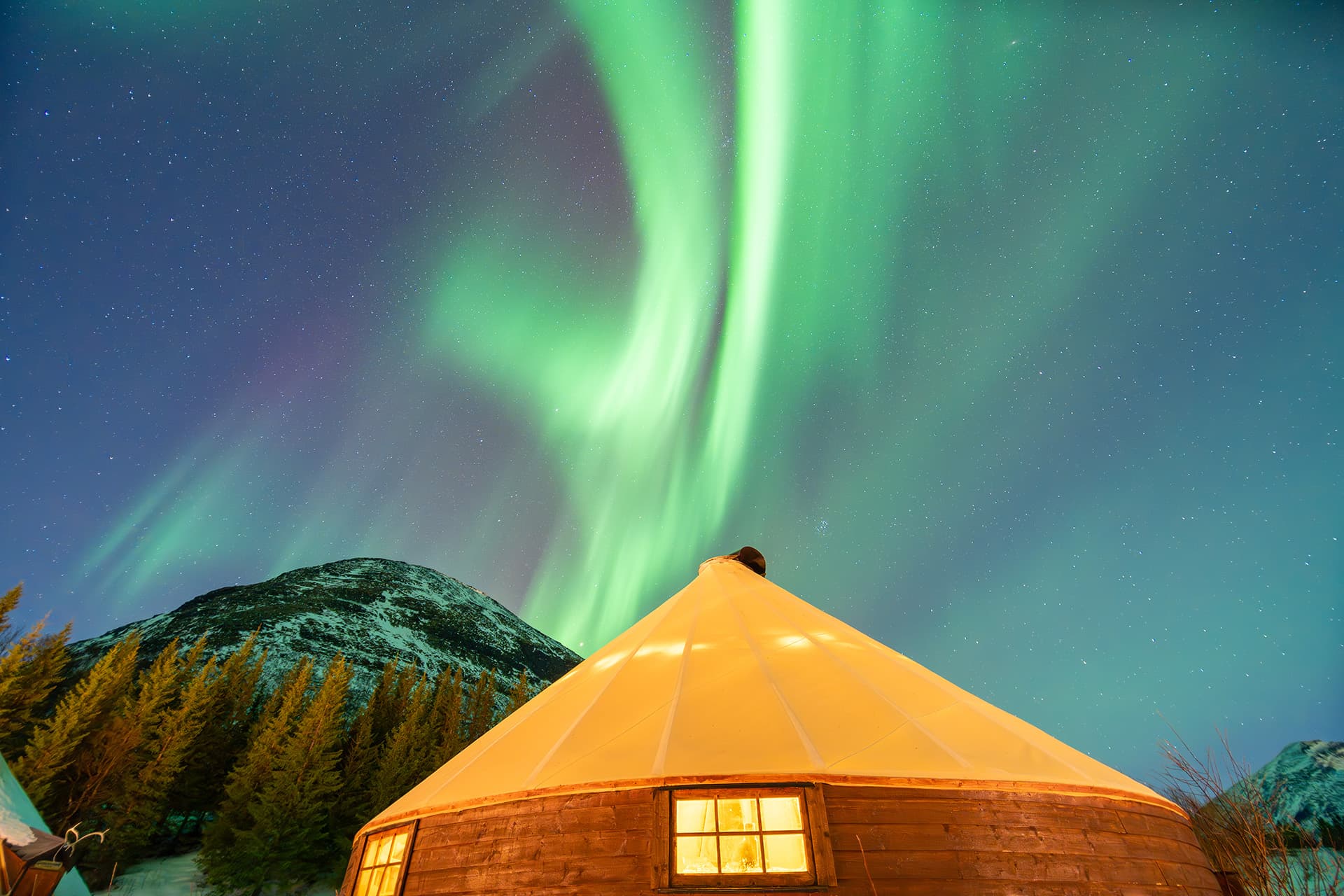 Tromsø: Arctic All-in-One Night: Dog Sledding, Snowmobiling & Northern Lights at Camp Tamok photo 6