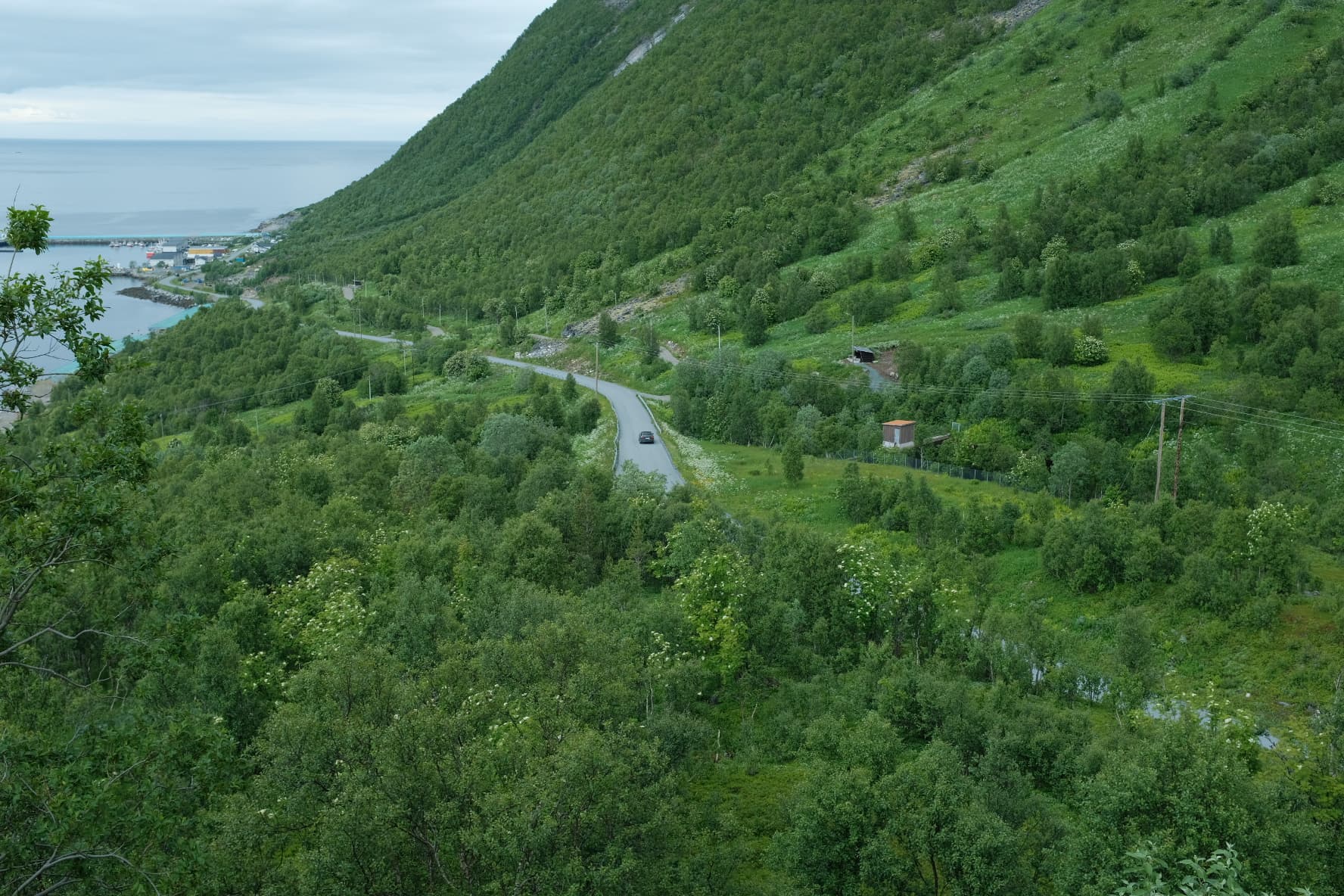 Senja Day Tour photo 6
