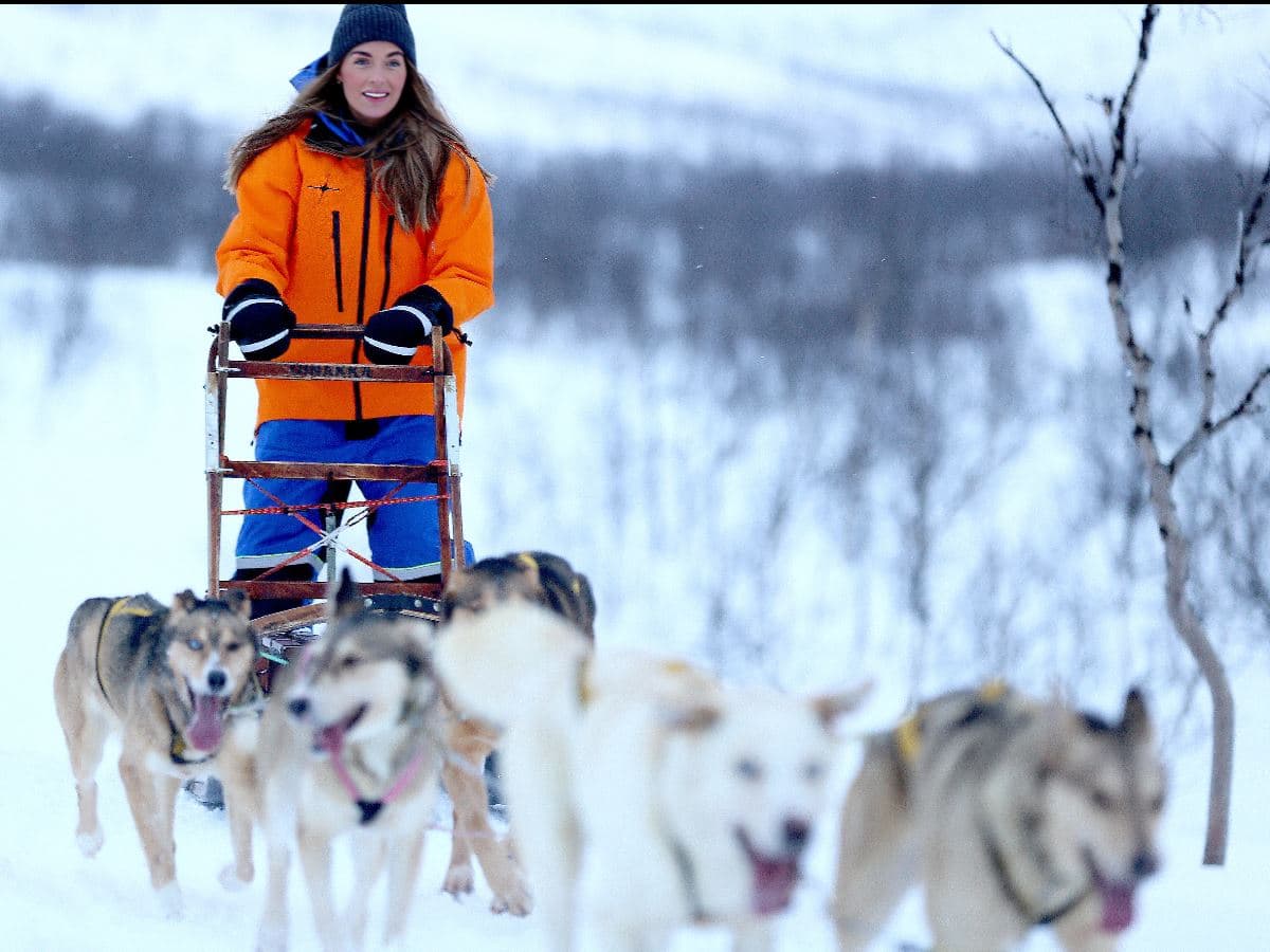Fun & Easy Dog Sledding Adventure