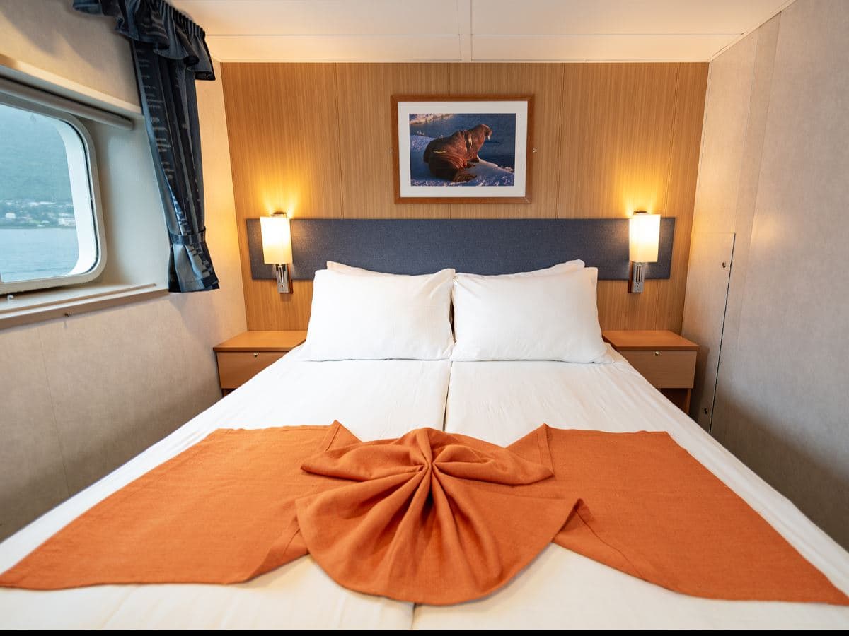 24hrs Northern Lights & Whale Watching Cruise: Double Cabin