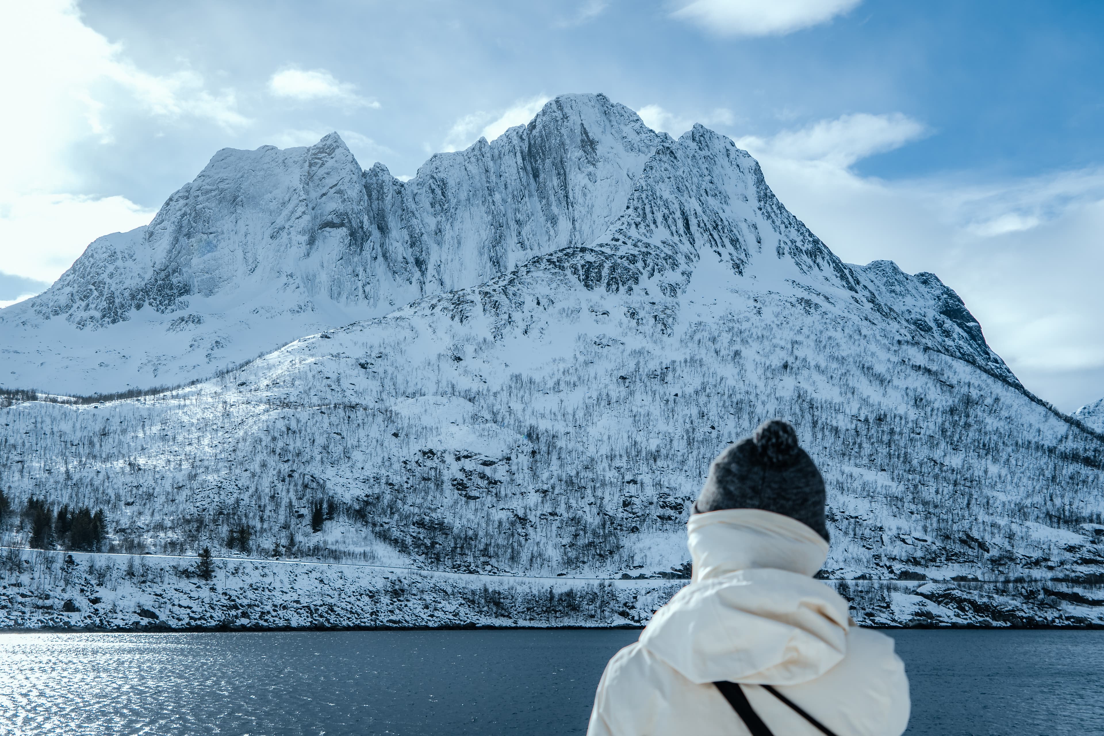 From Tromsø: Full-Day Senja Tour with Scenic Ferry & Photography photo 16