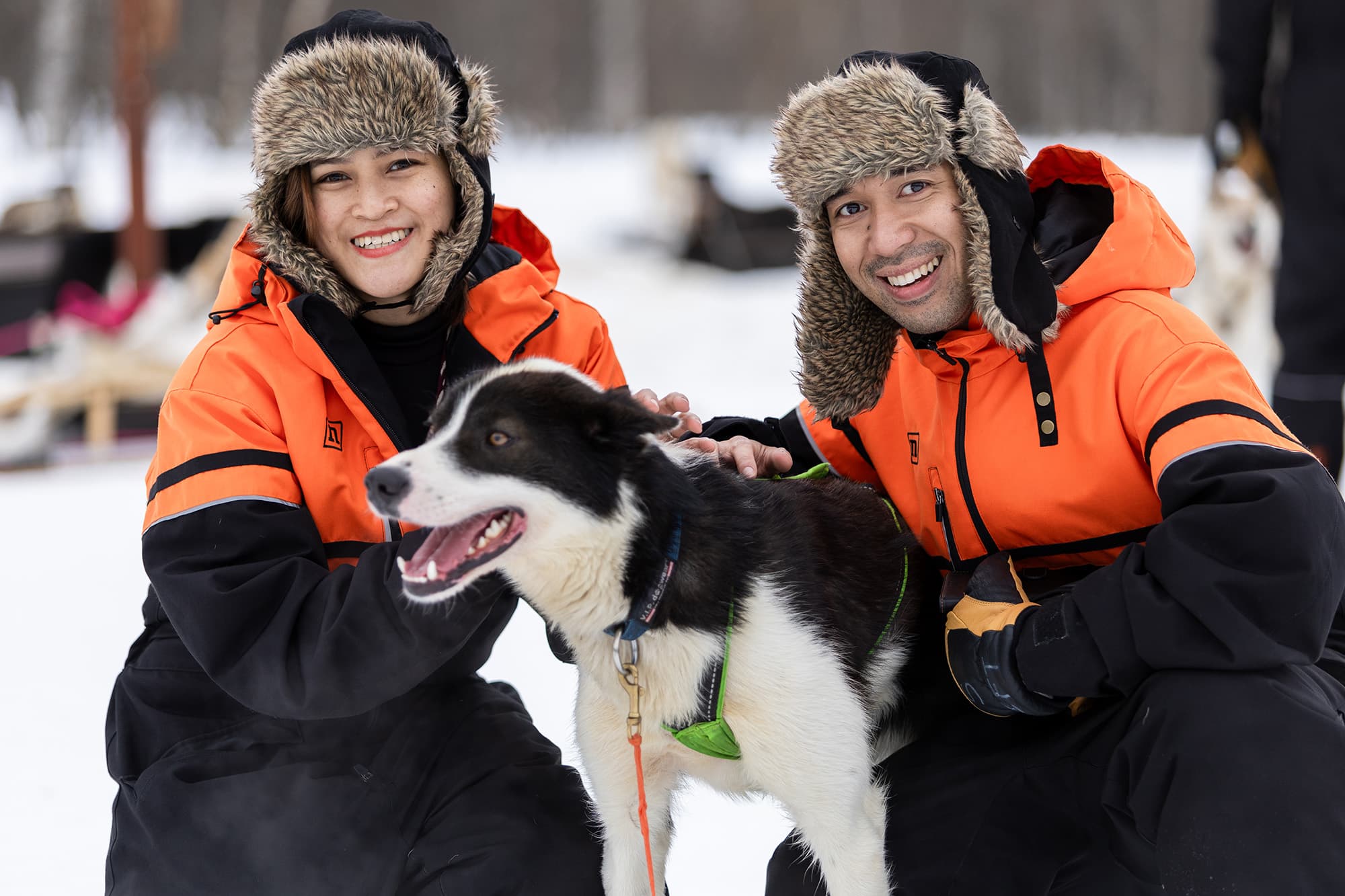 Tromsø: Dog Sledding Adventure at Tamokhuset