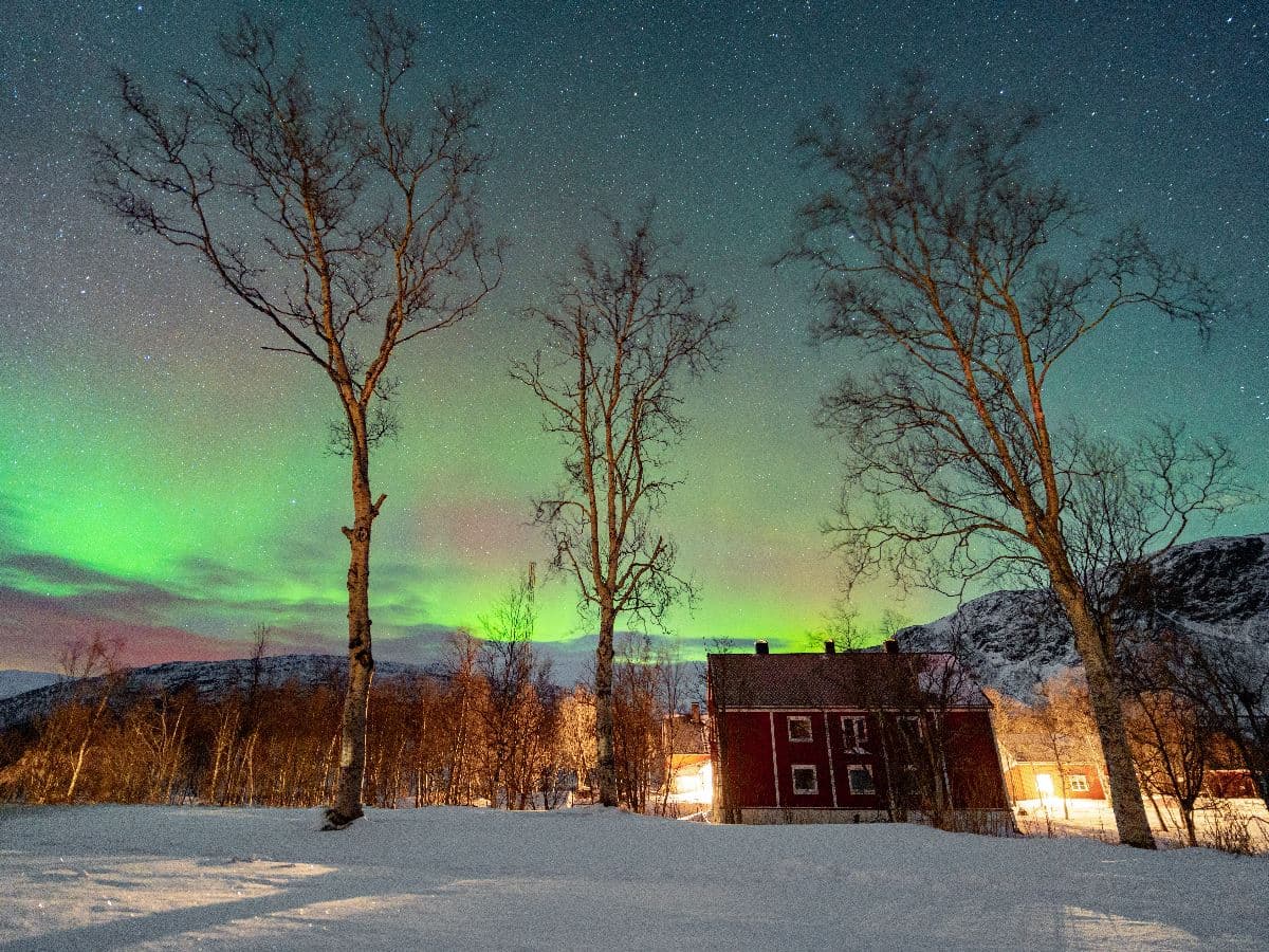 The Northern Lights Train photo 3