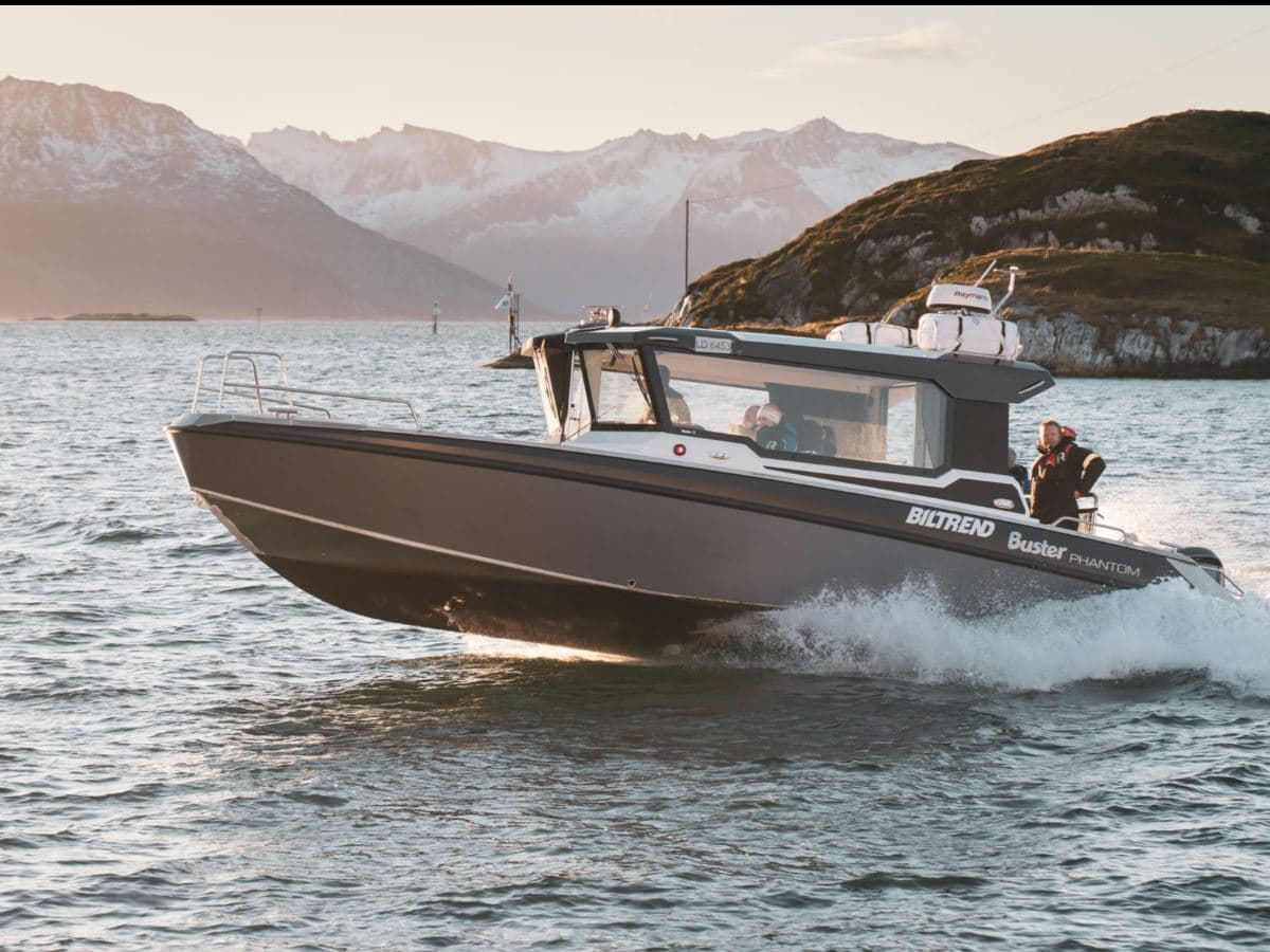 Sea Eagle Safari by boat at Sommarøy