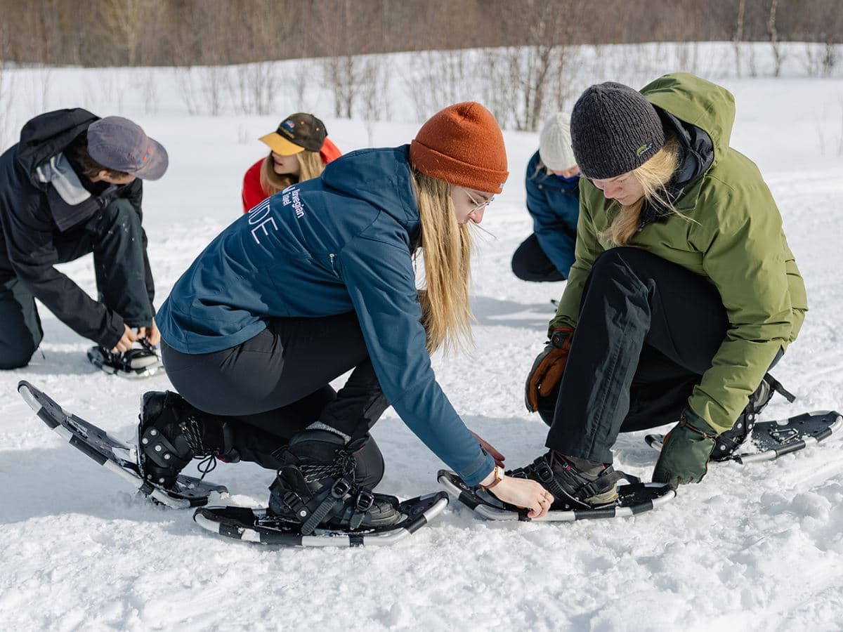 Daytime Snowshoe Hiking Experience at Sommarøy photo 2