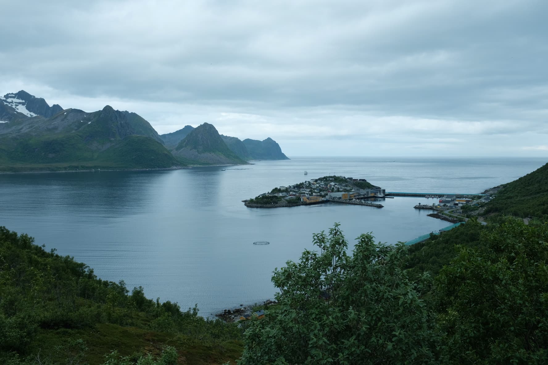 Senja Day Tour photo 5