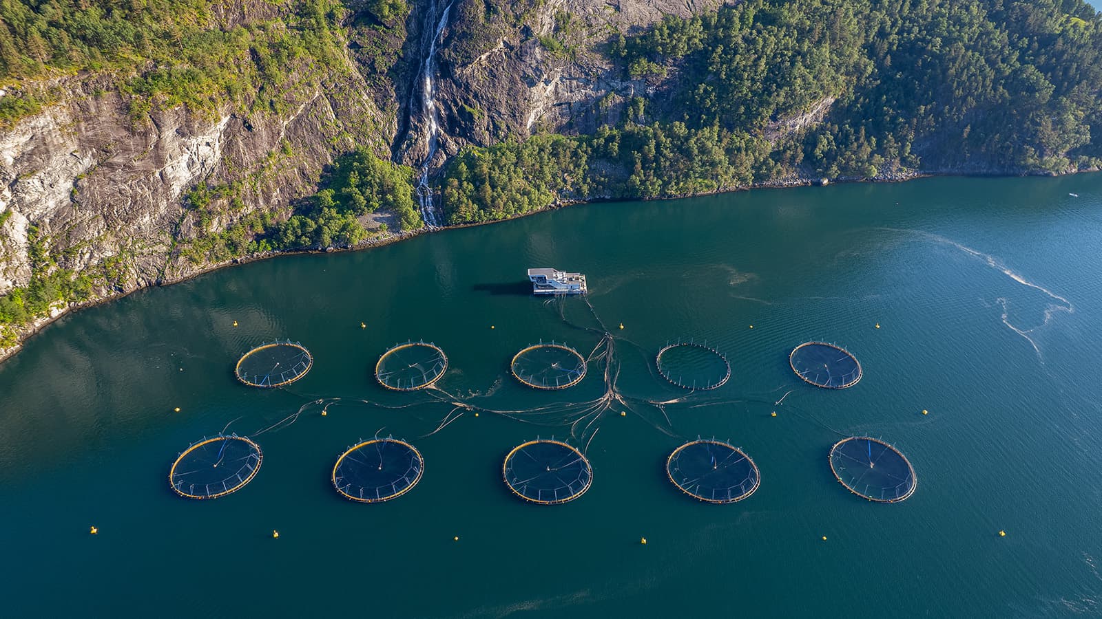 Visningssenter for havbruk i Valldal