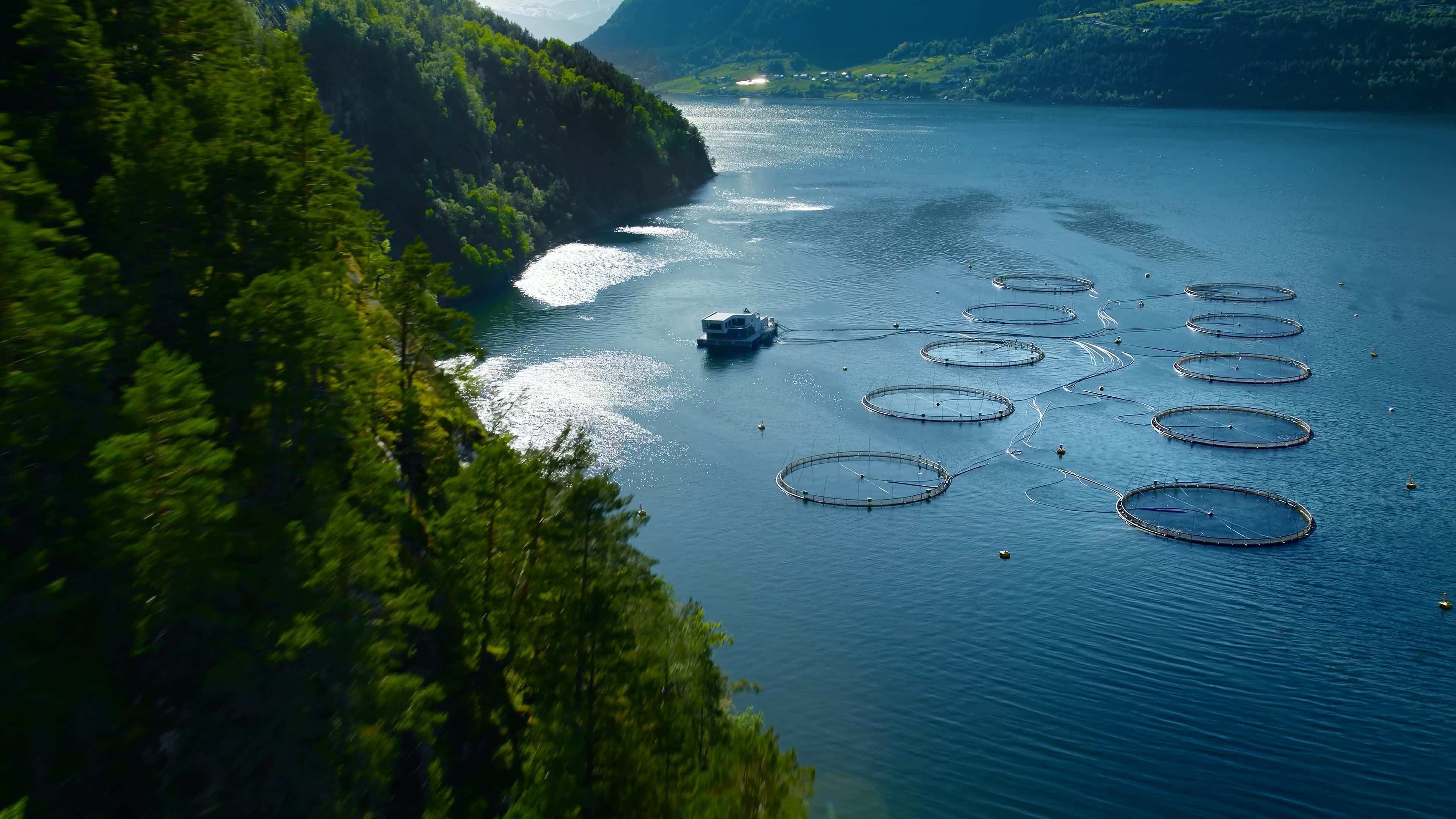 Visningssenter for havbruk i Valldal photo 6