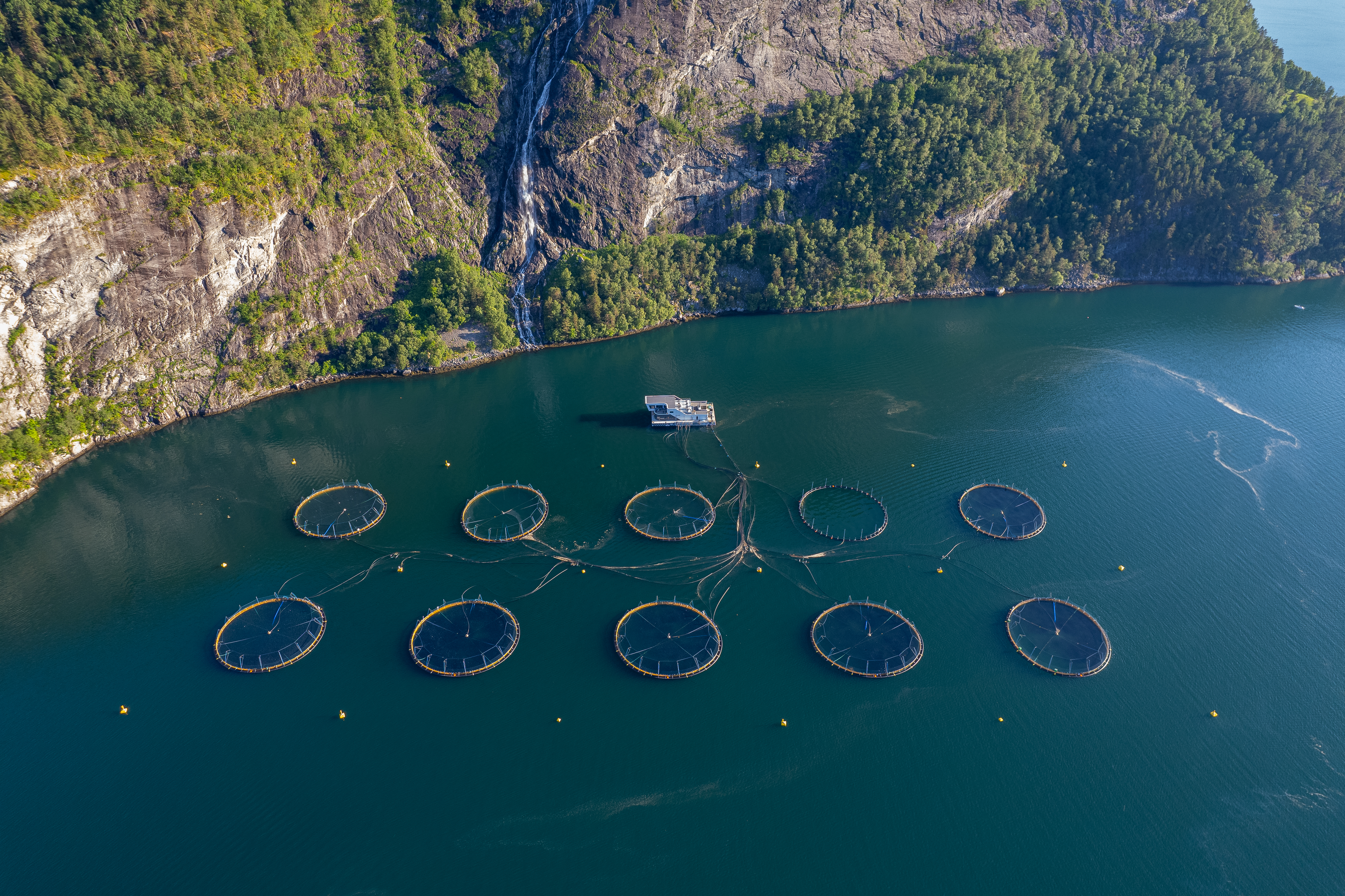 Visningssenter for havbruk i Valldal photo 7