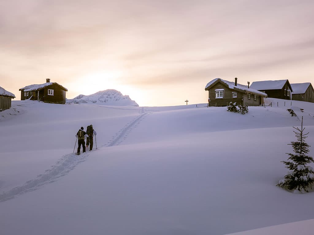 Halvdagstur med truge på Sunnmøre