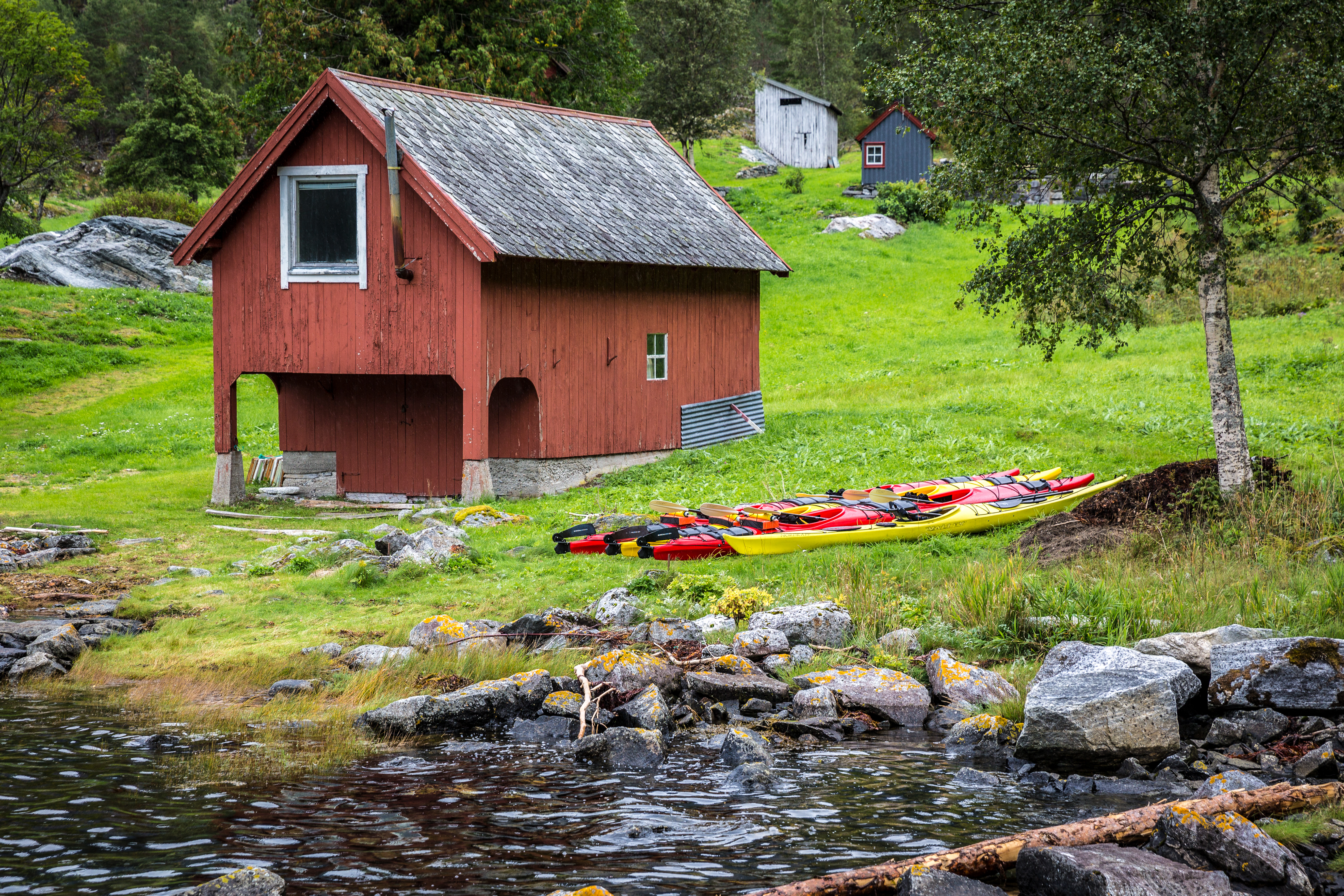 Fjordtur i Valldal photo 3