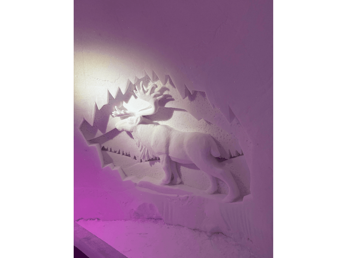 Snow Resort Guided Visit - Incl. Transfer photo 3