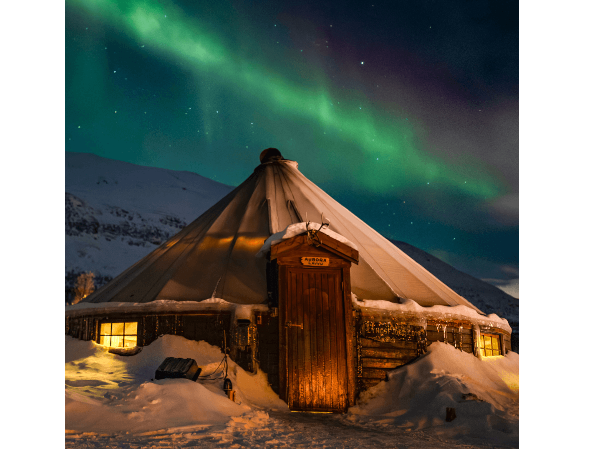 Tromsø: Aurora boreale nella natura a Camp Tamok