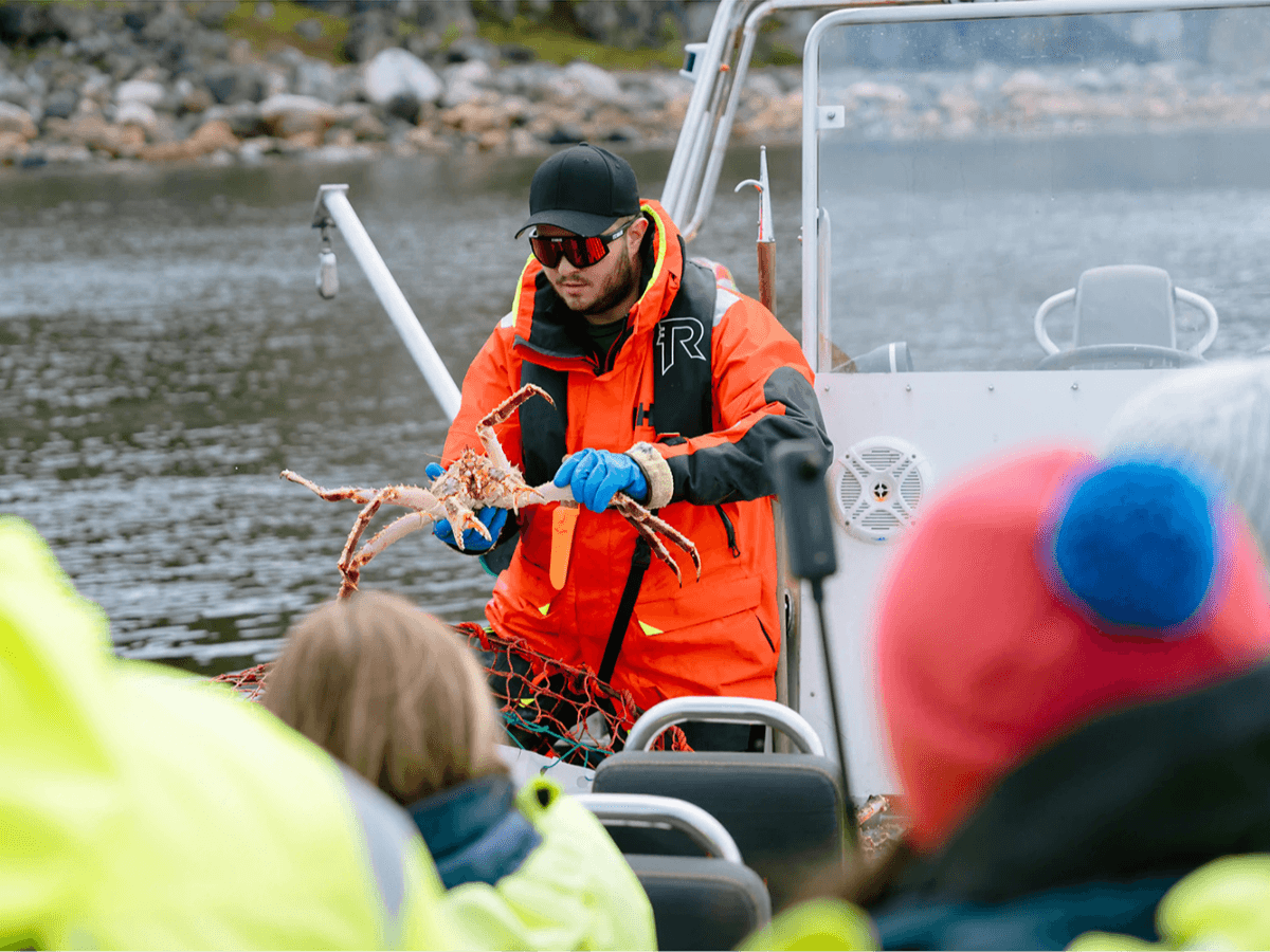 King Crab Safari Summer photo 2
