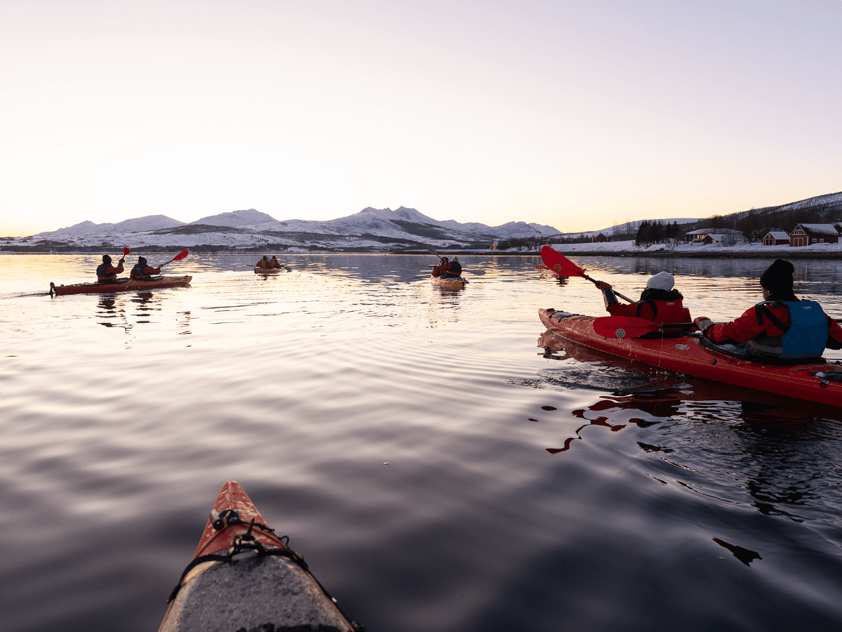 Guided Winter Sea Kayaking Tour - Incl. Transfer from Sommarøy Arctic Hotel