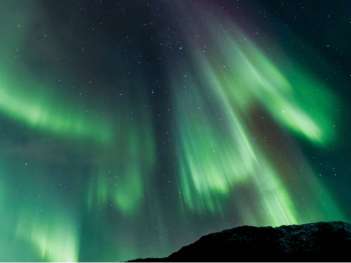 Hunting the Northern Lights by Husky photo 3