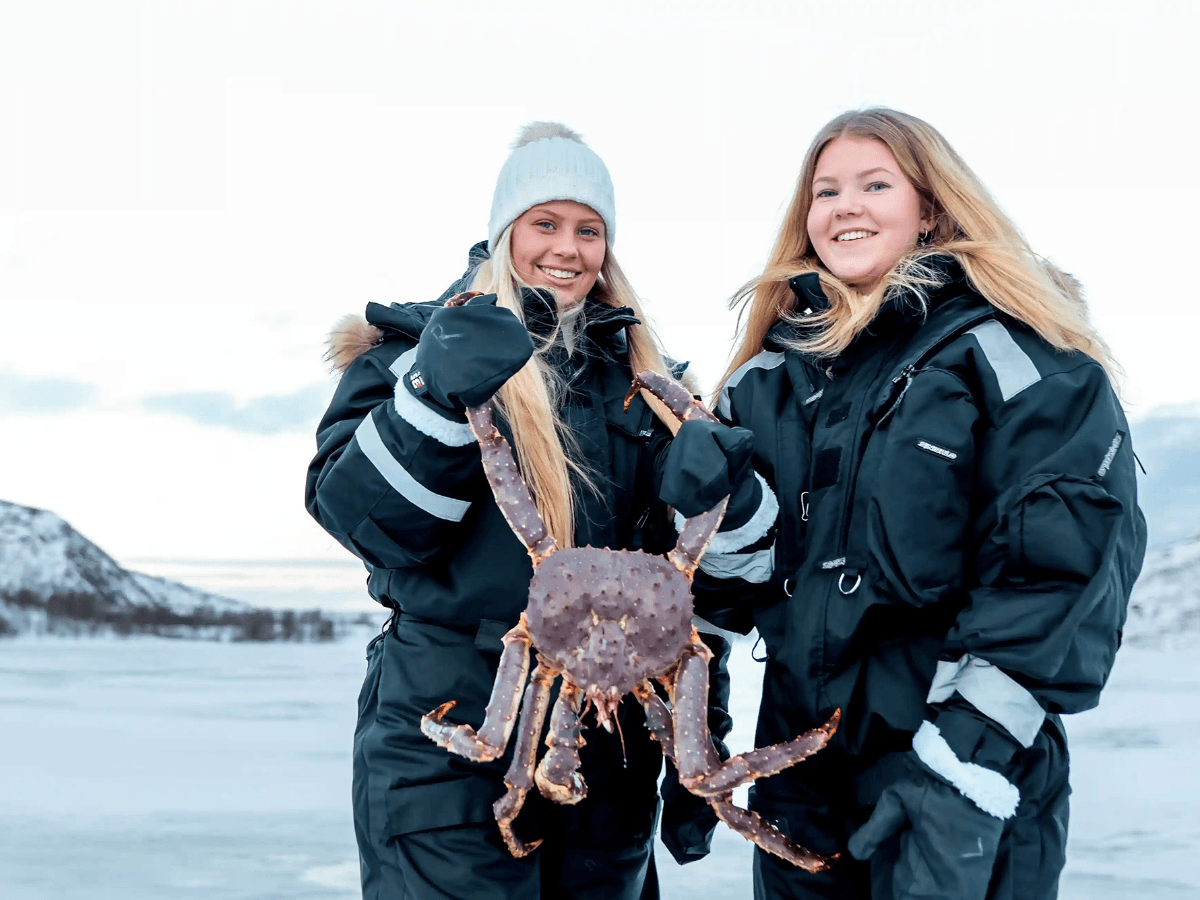 King Crab Safari Winter photo 2