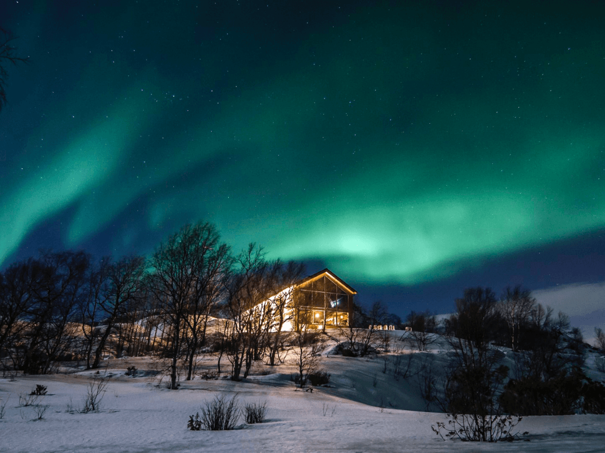 Hunting the Northern Lights by Husky photo 4