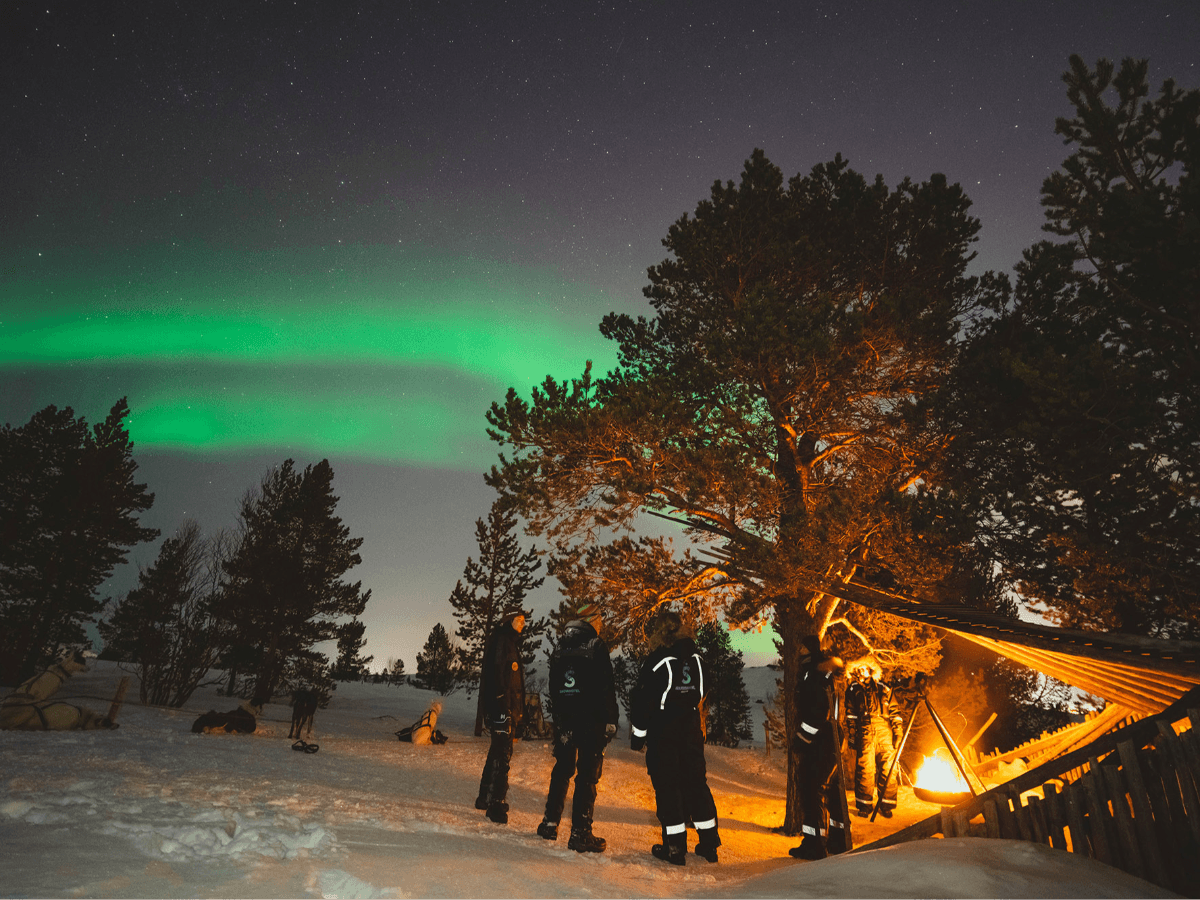 Hunting the Northern Lights by Husky photo 2