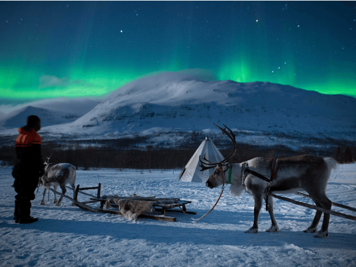 Tromsø: Sami Culture, Northern Lights & Reindeer Visit at Camp Tamok photo 4