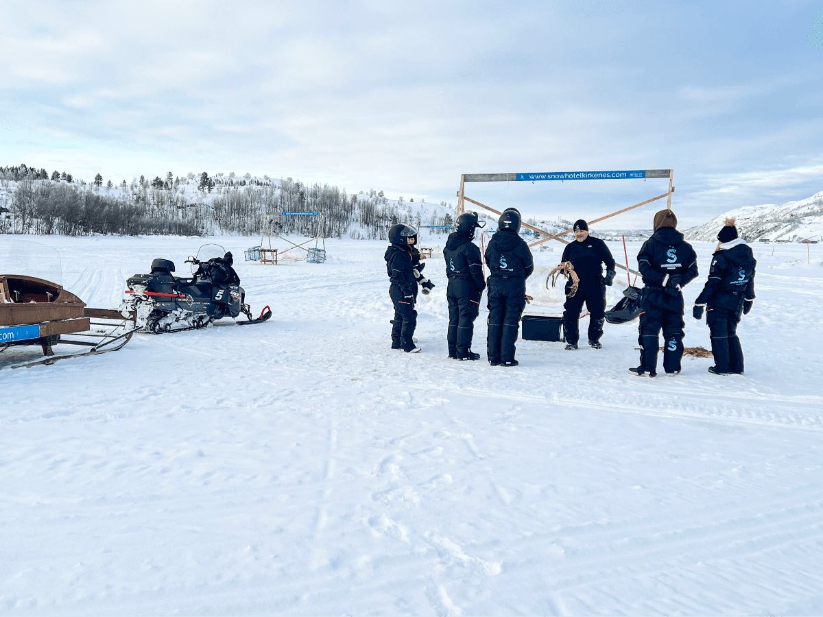 King Crab Safari Winter