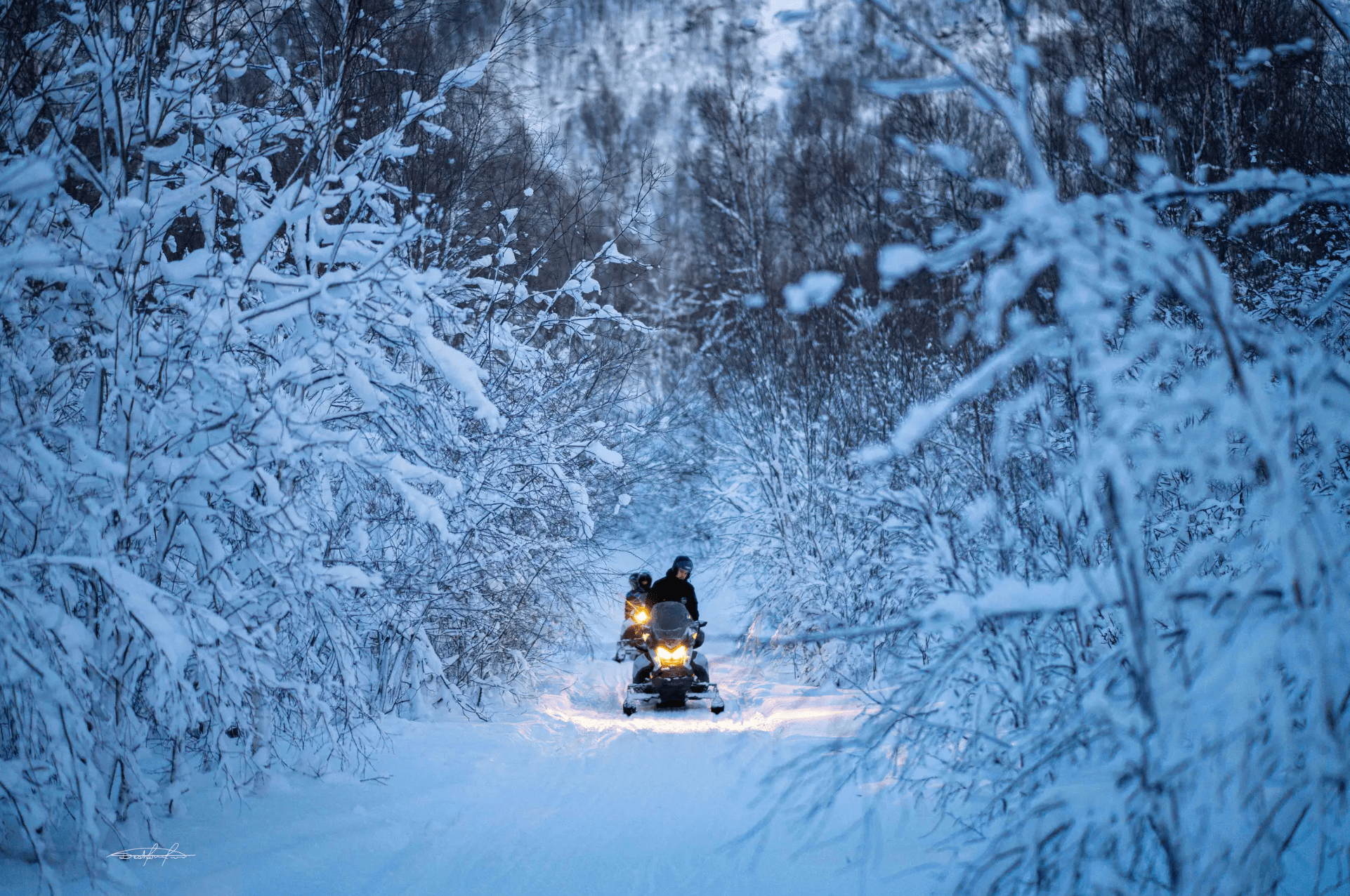 Tromsø: Local Snowmobile Experience photo 7