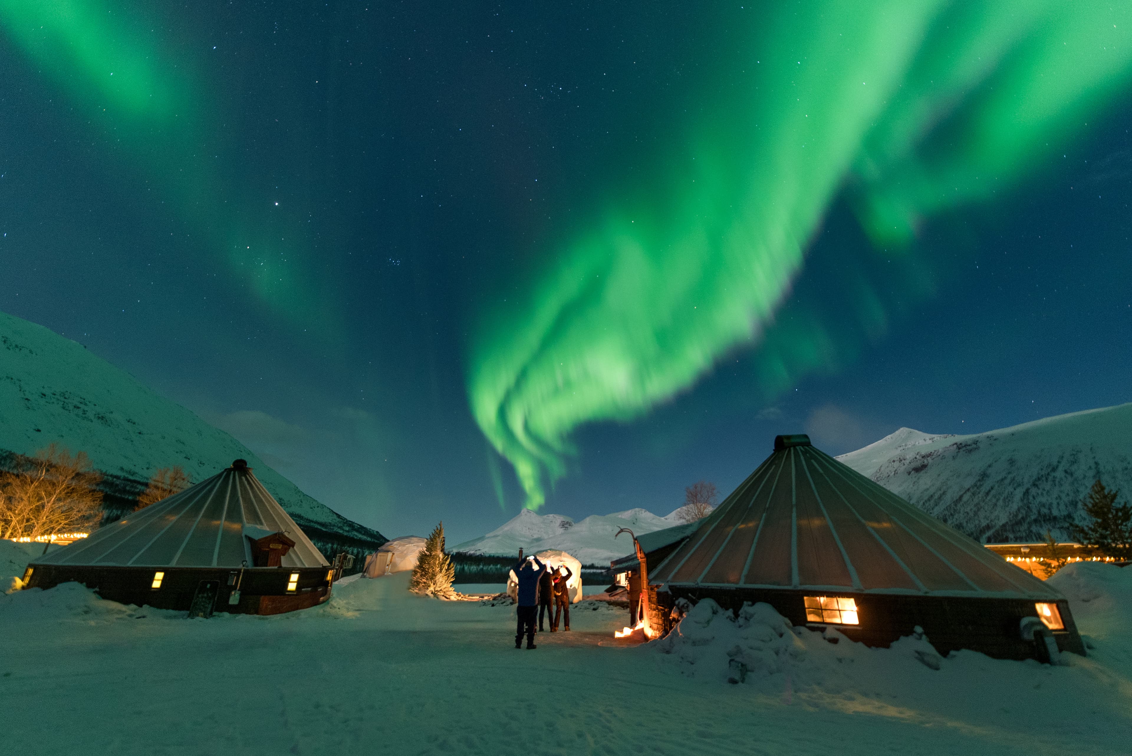 Tromsø: Arctic All-in-One Night: Dog Sledding, Snowmobiling & Northern Lights at Camp Tamok