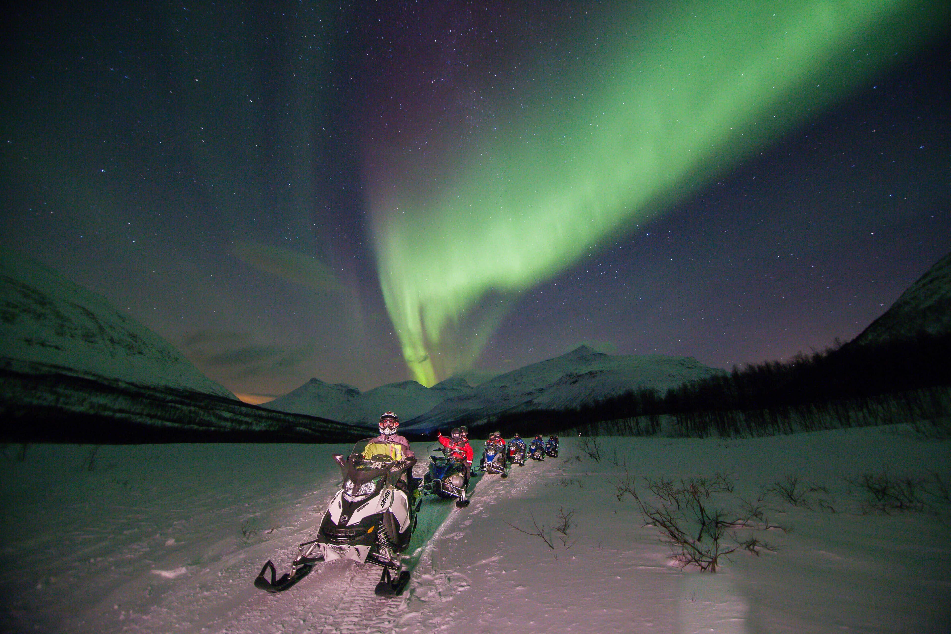 Tromsø: Arctic All-in-One Night: Dog Sledding, Snowmobiling & Northern Lights at Camp Tamok photo 5