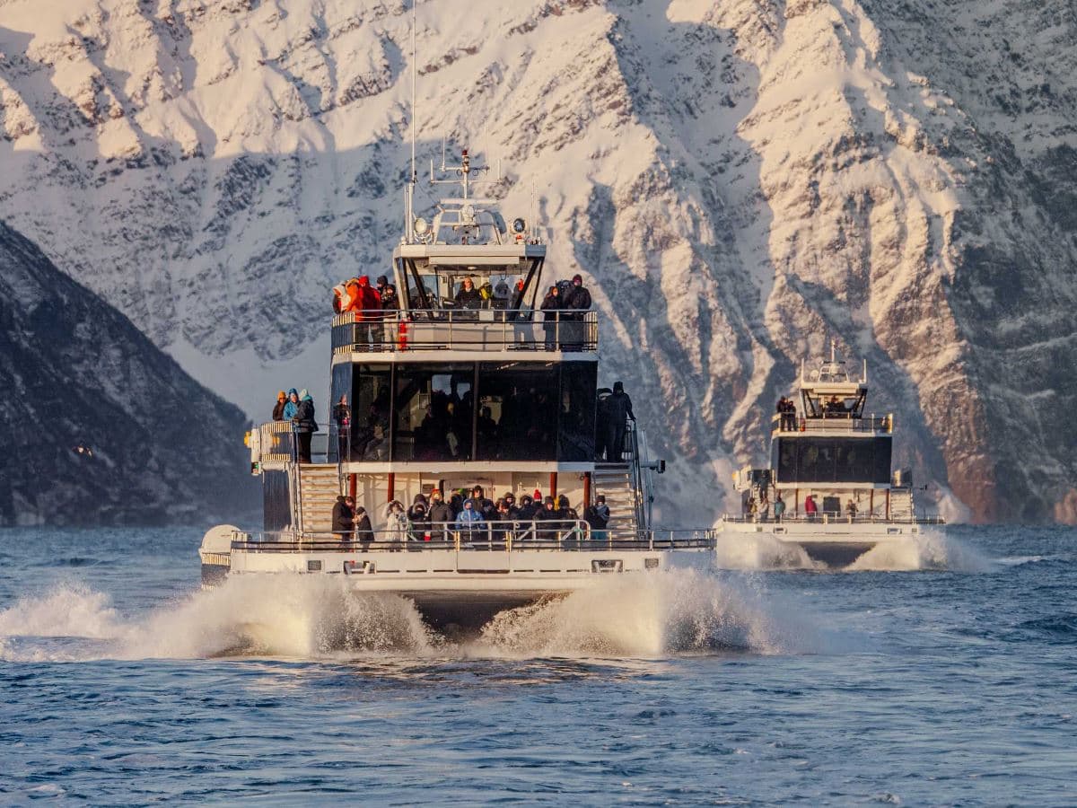 Silent Whale Watching photo 7