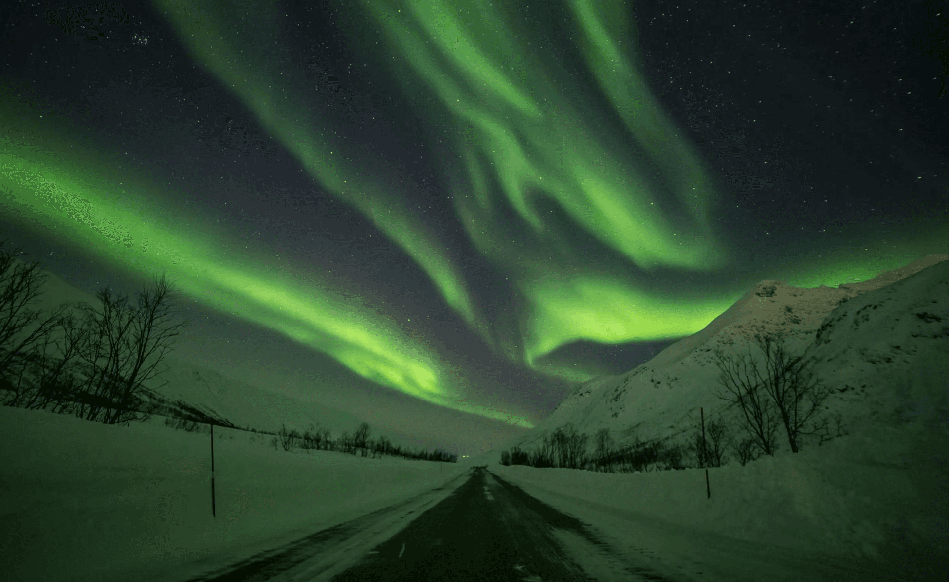 Tromsø: Chasing the Aurora – We Go Where The Lights Appear photo 23