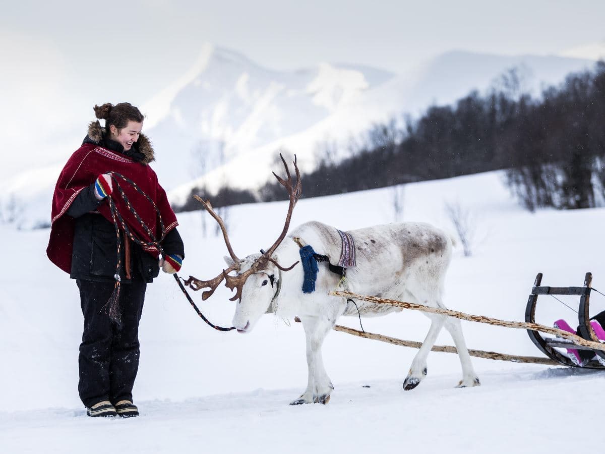 Reindeer Sledding at Camp Tamok photo 5