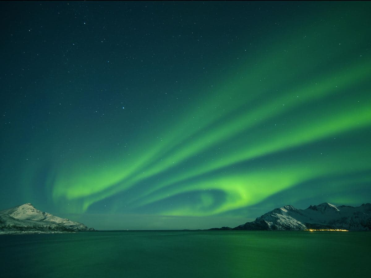 24hrs Northern Lights & Whale Watching Cruise: Single Twin Cabin photo 3