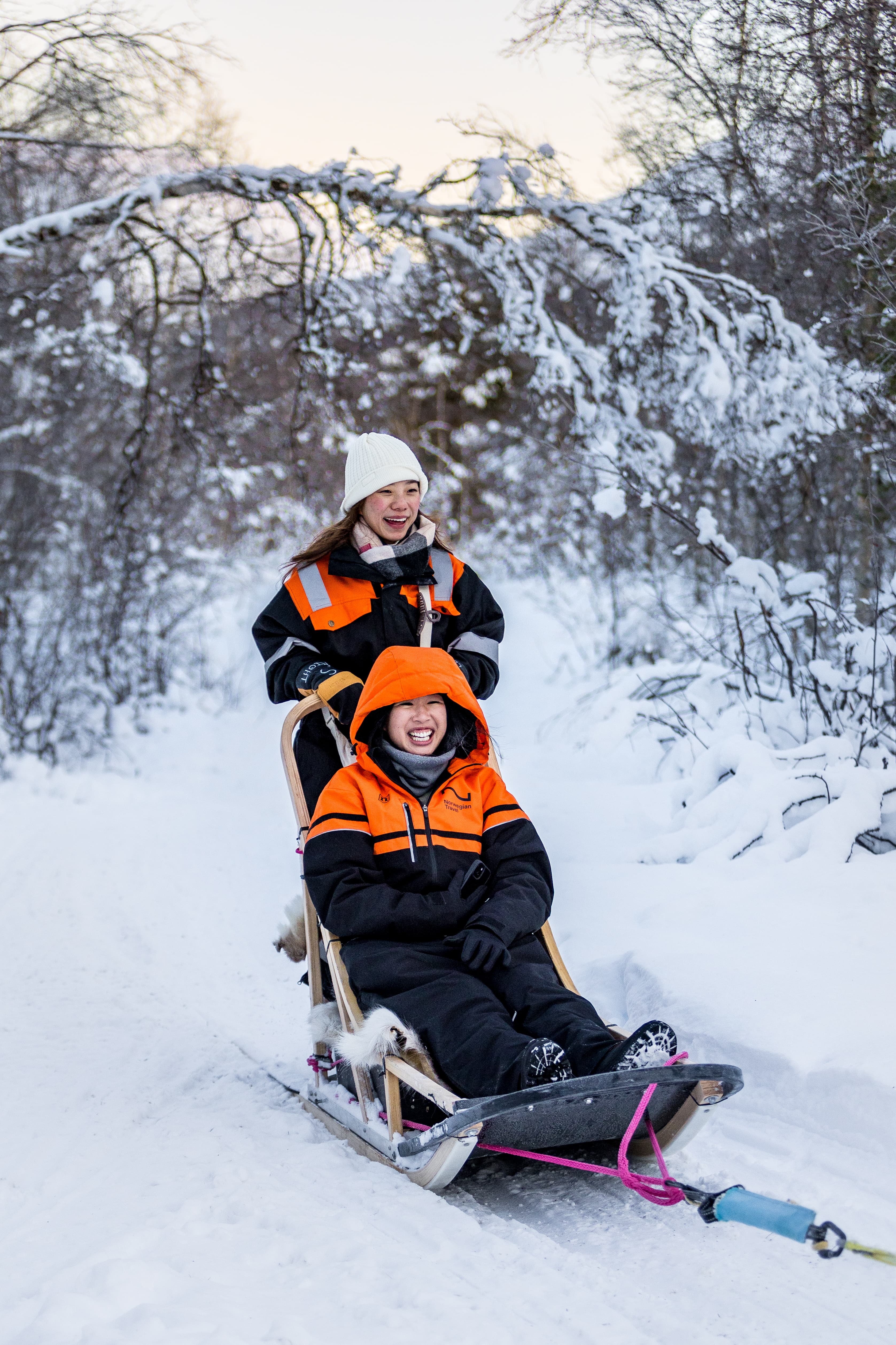 Tromsø: Dog Sledding Adventure at Tamokhuset photo 6