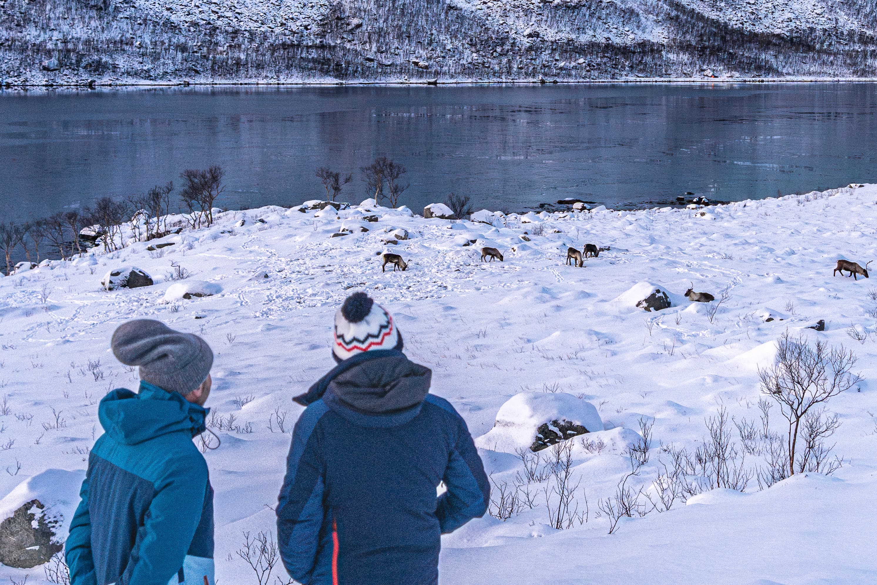 Tromsø: PRIVATE Fjord and Wildlife Experience with Locals photo 2