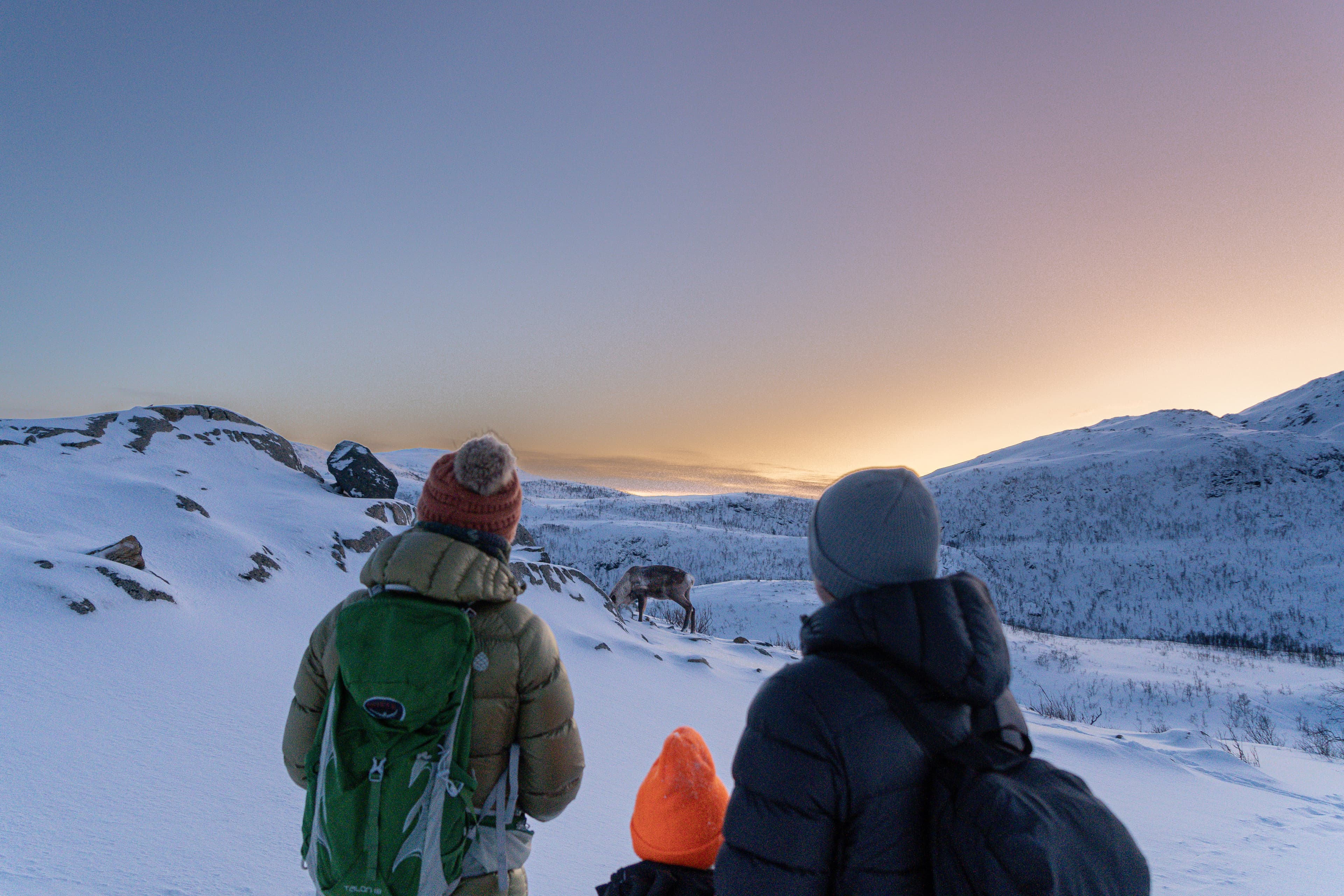 Tromsø: Snowshoe Hike with Local Guides photo 2
