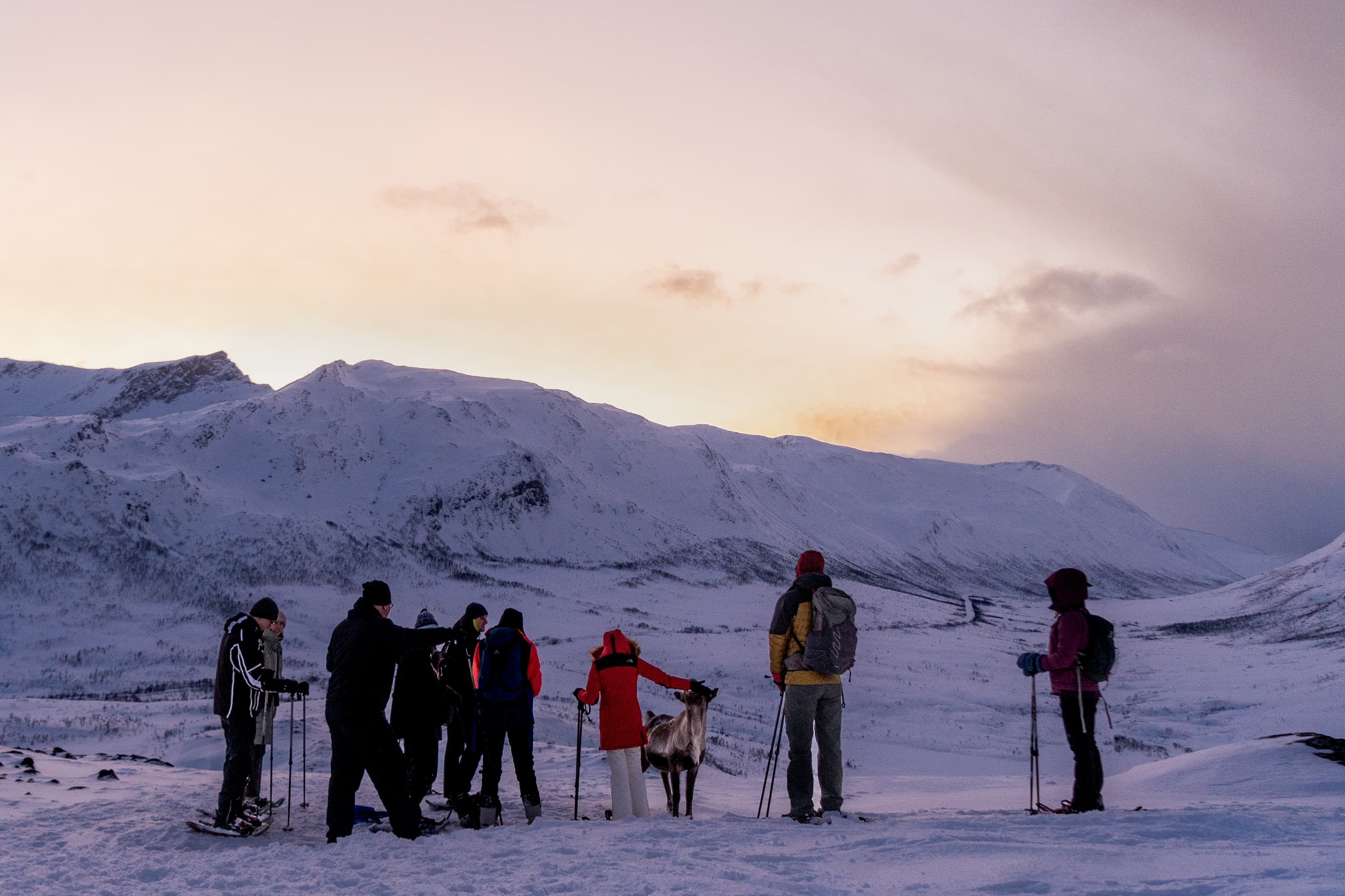 Tromsø: Snowshoe Hike with Local Guides photo 8