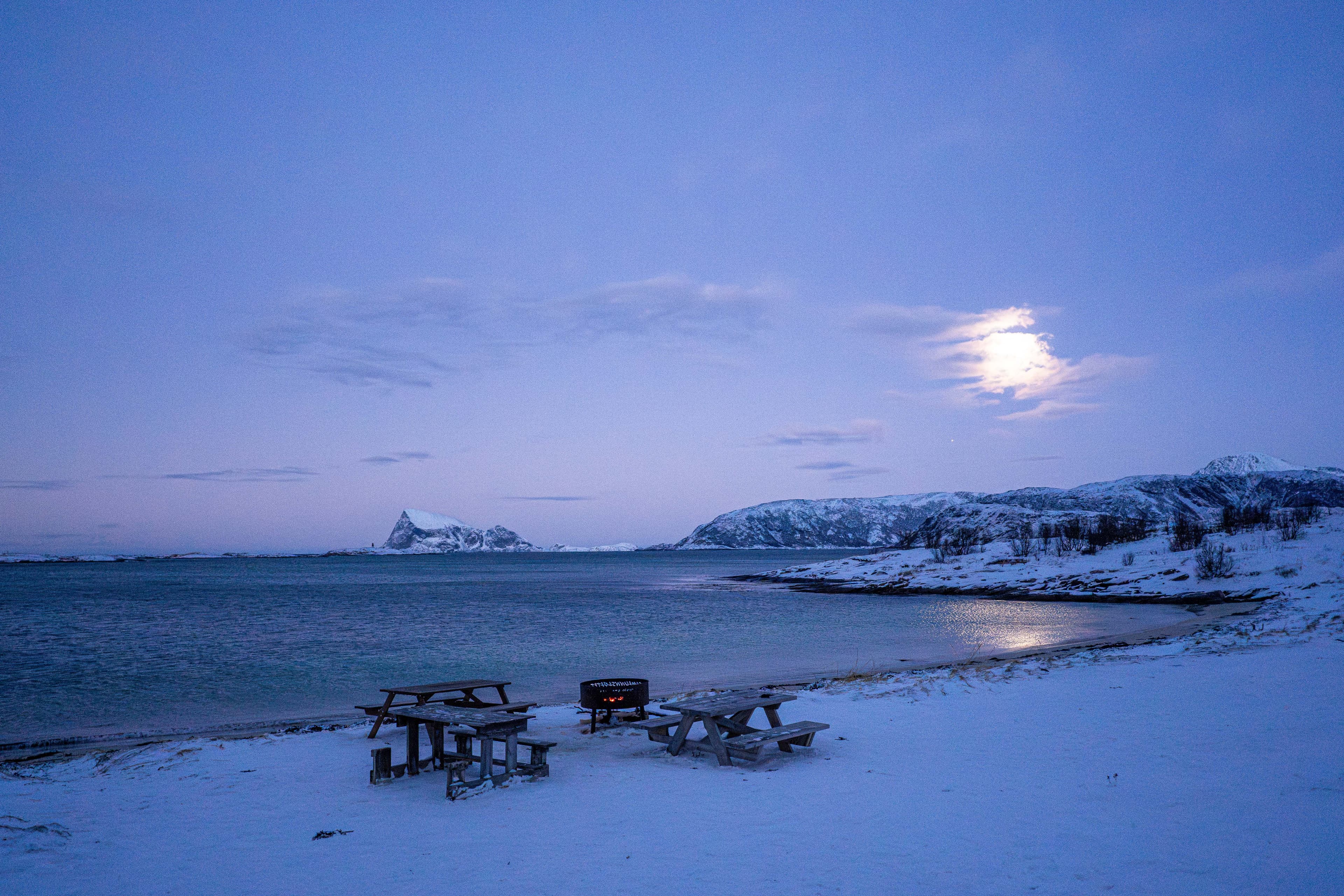 Tromsø: PRIVATE Fjord and Wildlife Experience with Locals photo 5