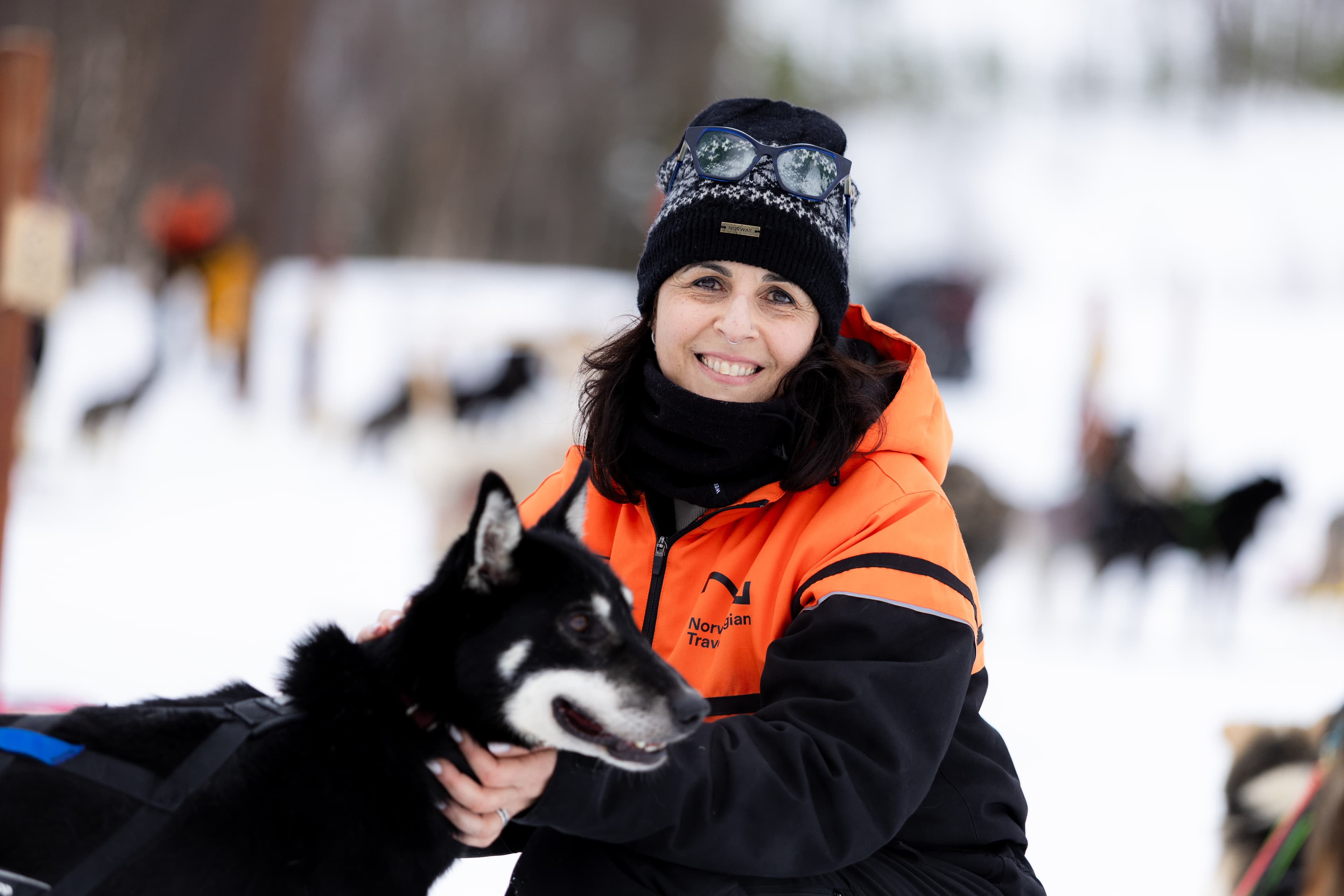 Tromsø: Advanced Dog Sledding at Camp Tamok