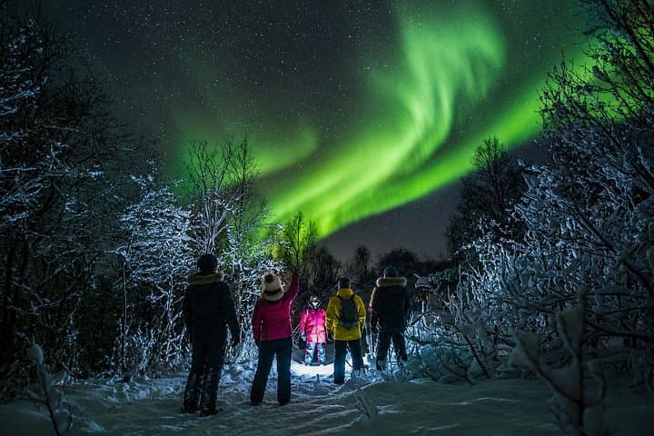 Tromsø Northern Lights Chase We Go Where The Lights Appear photo 2